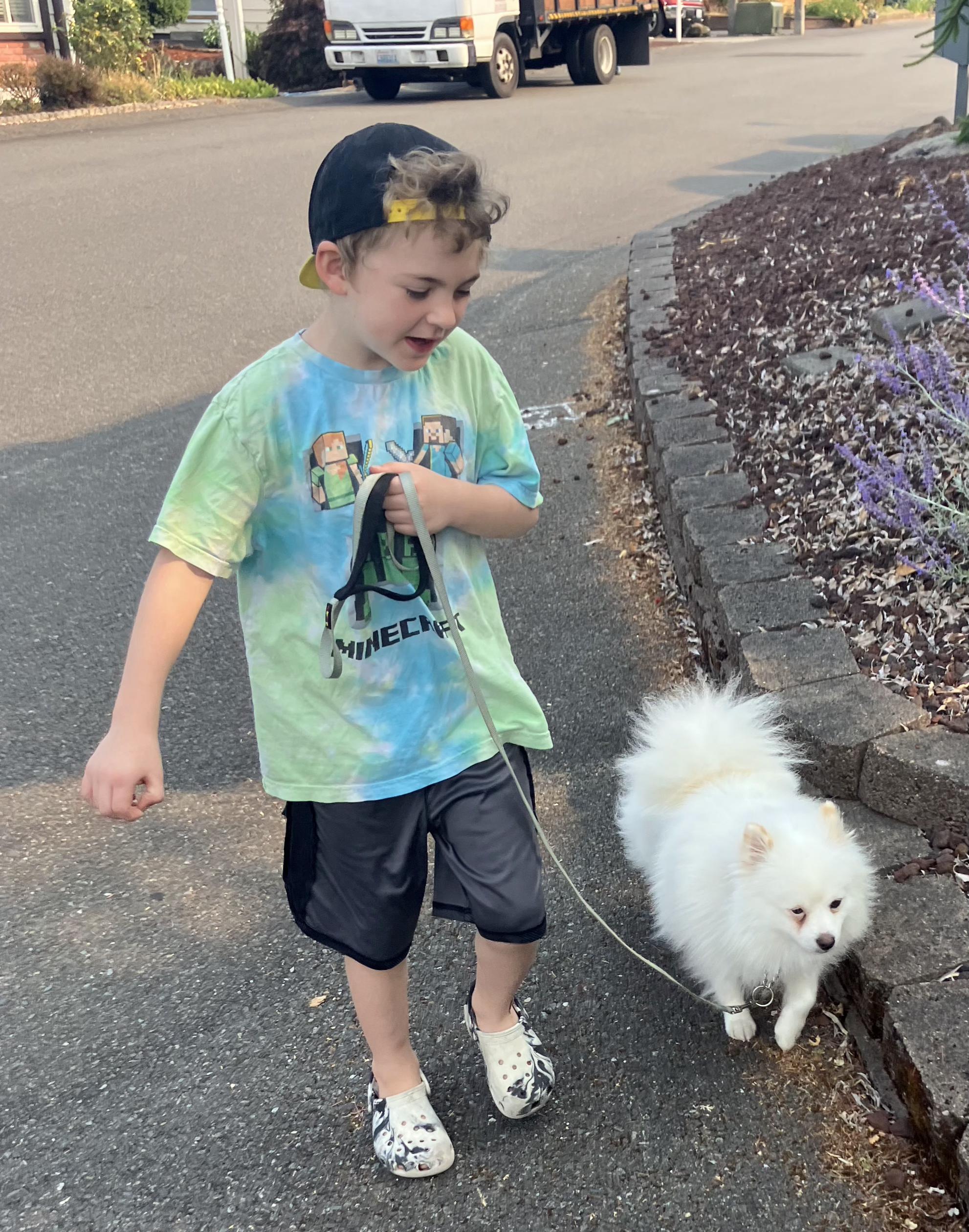 Enlarge Jerry, a Adopted mixed breed in Seattle, WA image 6/6