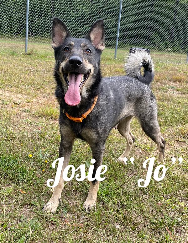 Josie