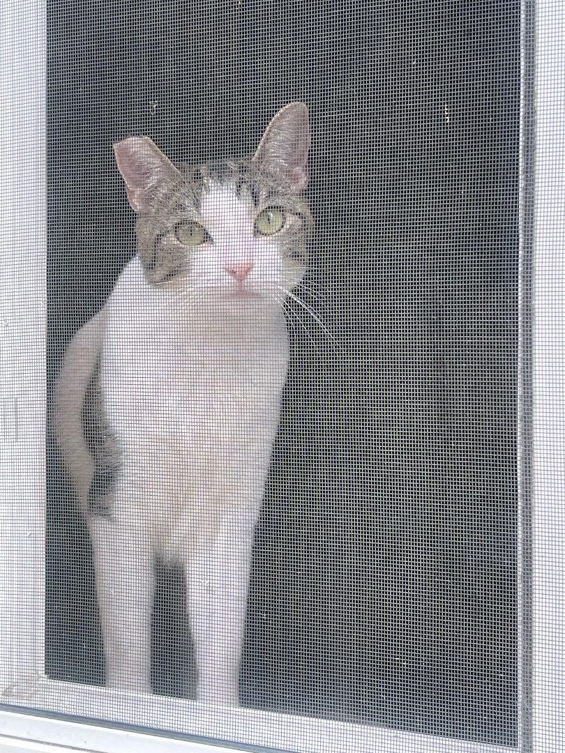 Esther