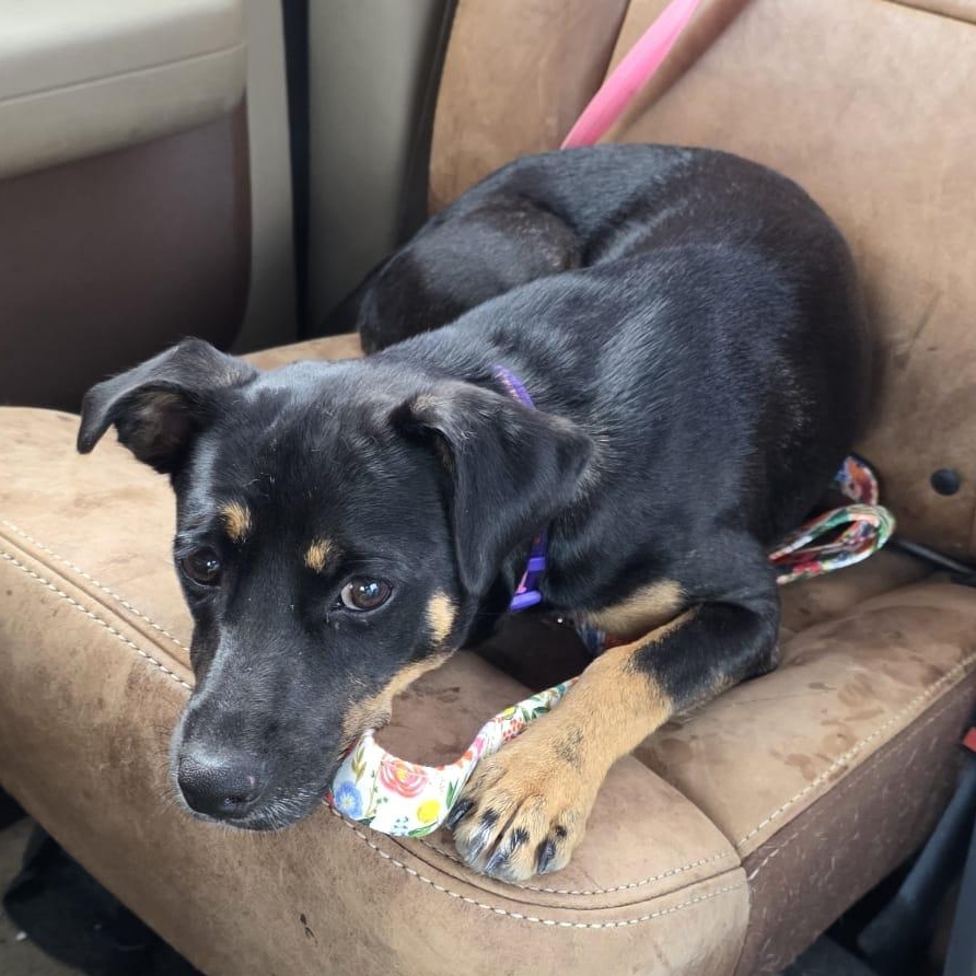 Lola Lulu "i Want thumbnail 2