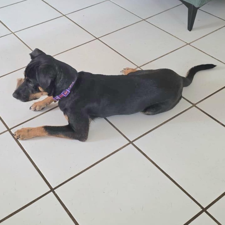 Lola Lulu "i Want thumbnail 3