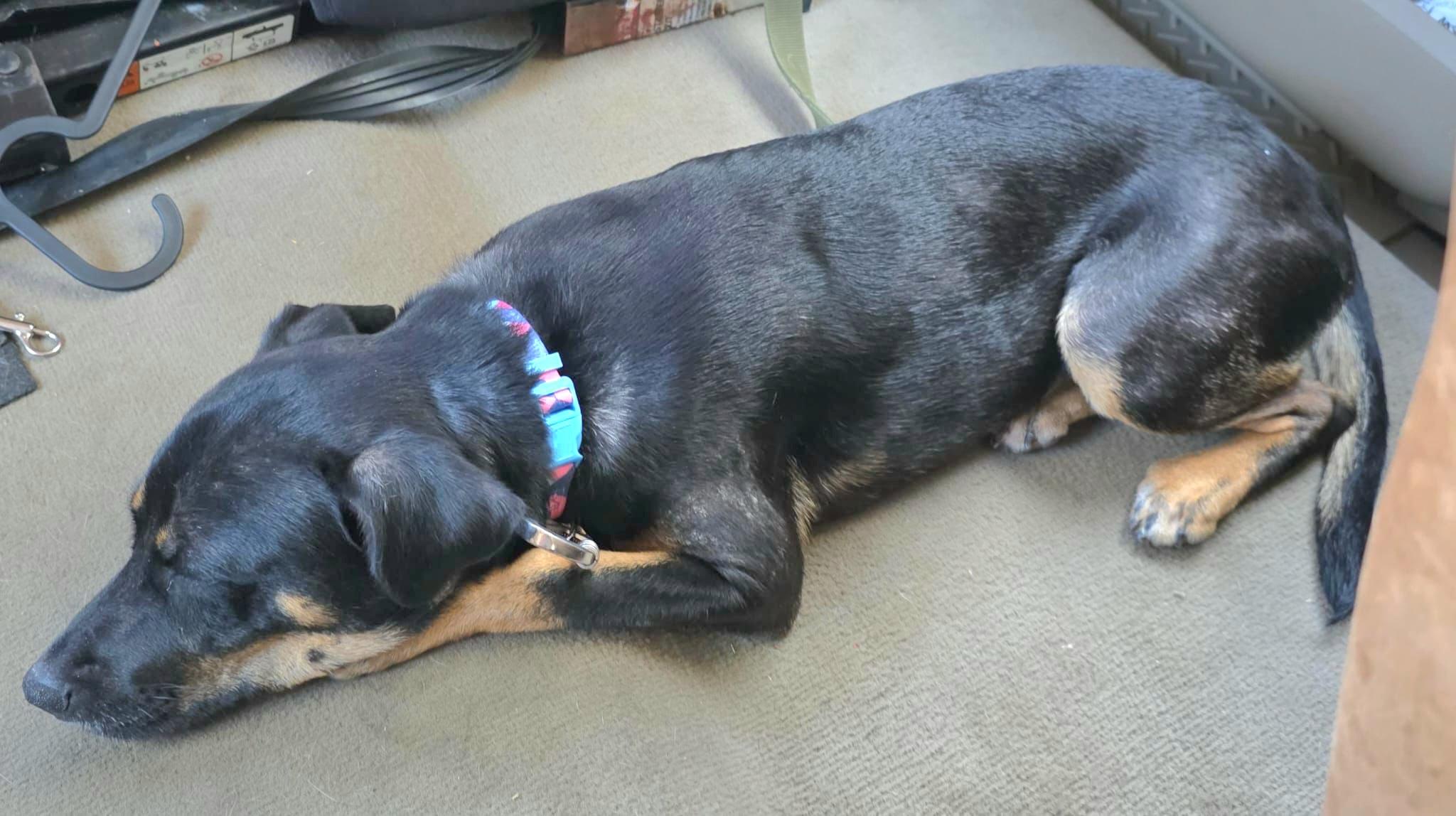 Lola Lulu "i Want thumbnail 4