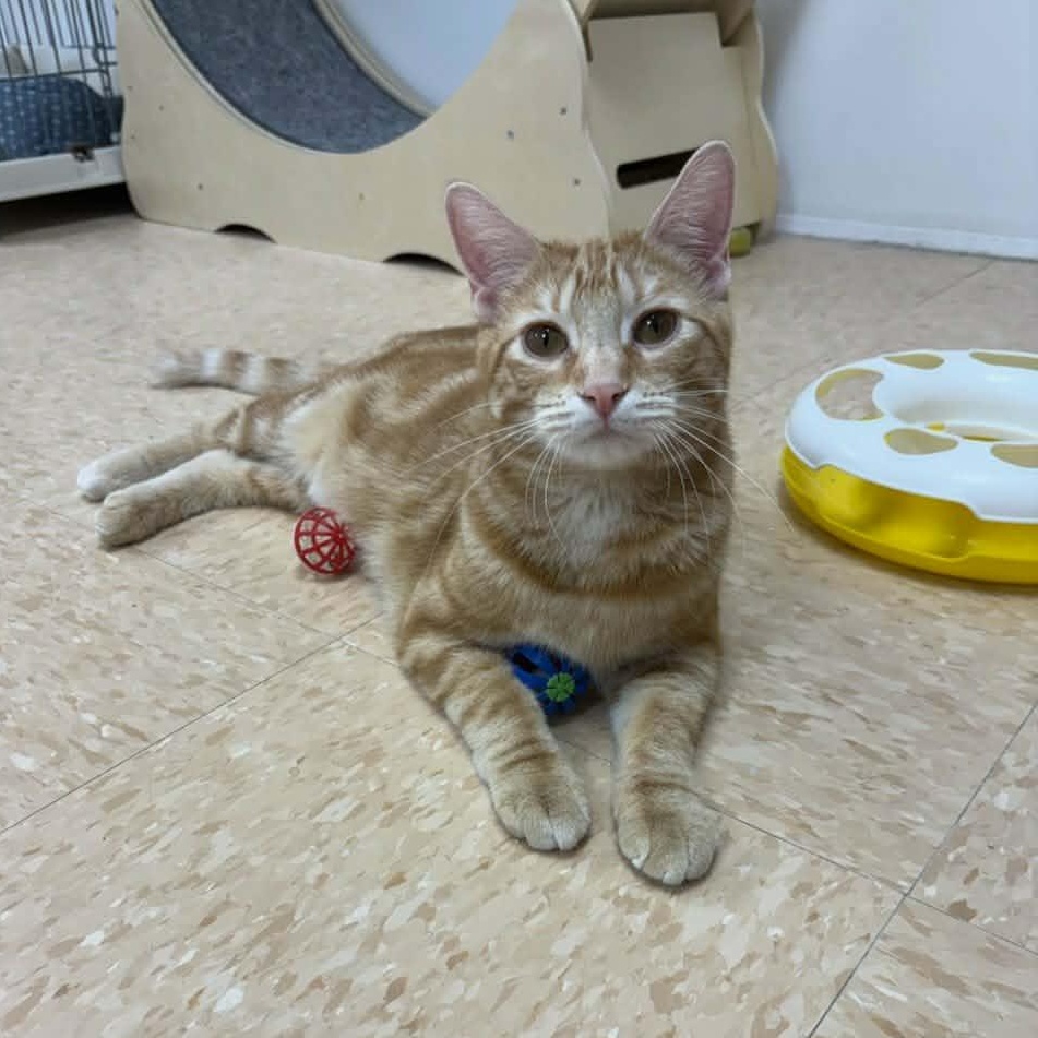 Amie — thumbnail 2