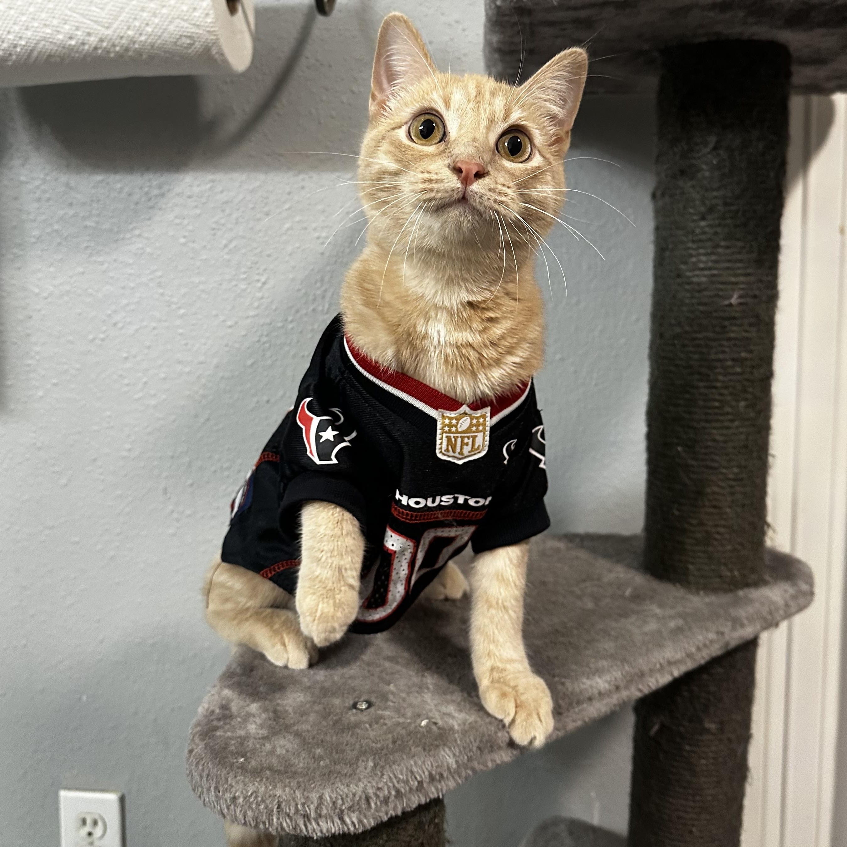Rory - Kuykendahl/99! Petsmart