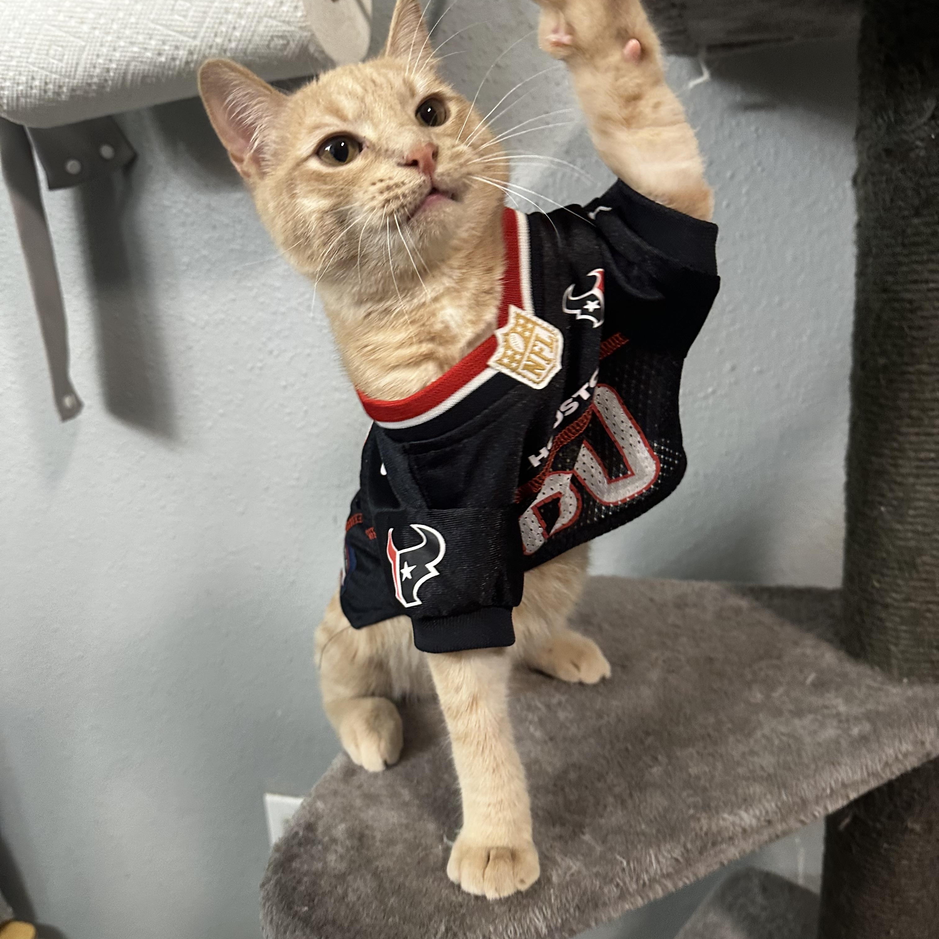 Rory - Kuykendahl/99! Petsmart