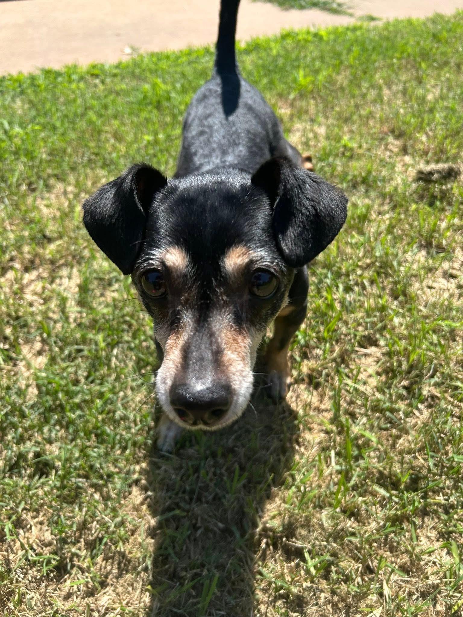 Ludlow, Senior Male unknown