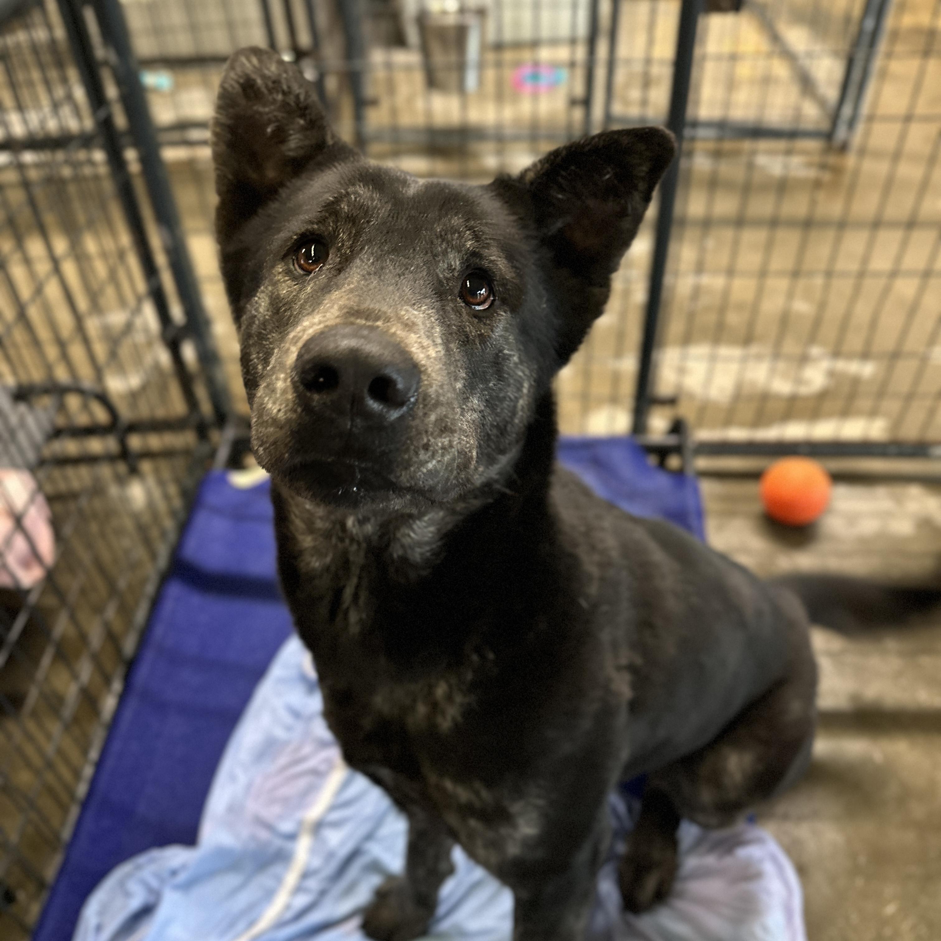 Jeremy Allen White — thumbnail 4