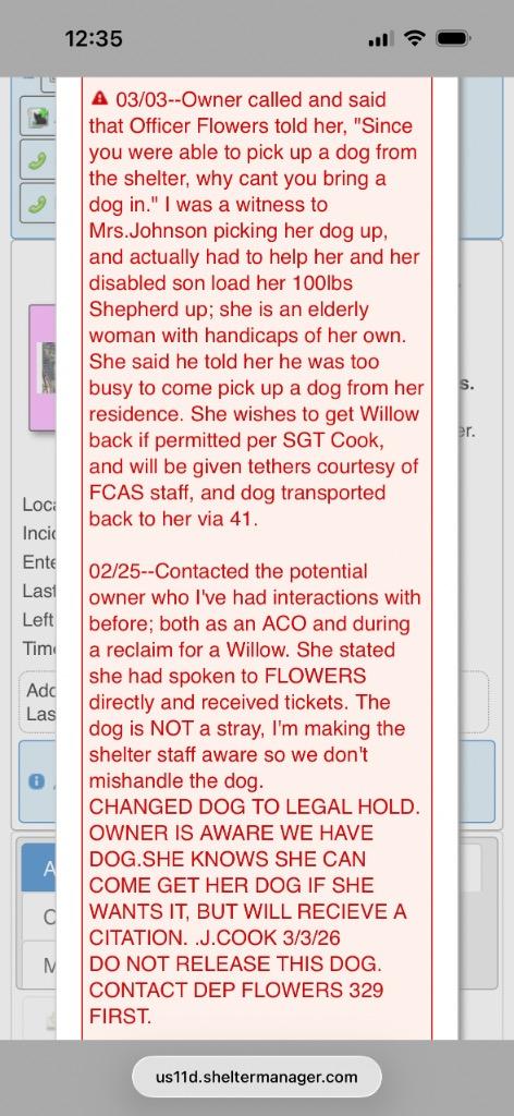 Enlarge Willow, a Adoptable Shepherd in Effingham, SC image 2/4