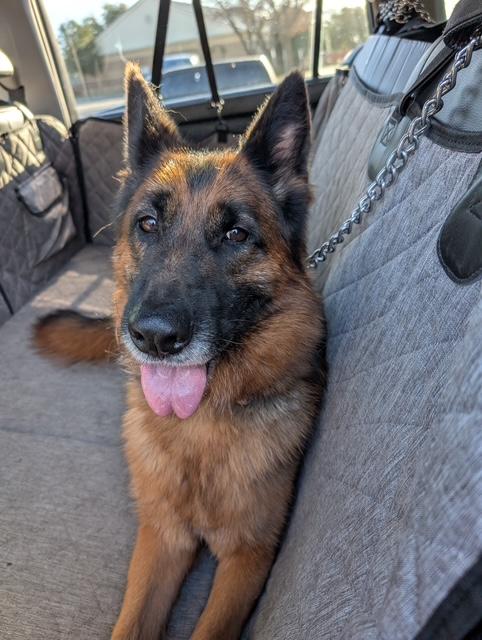 Farrah — thumbnail 3