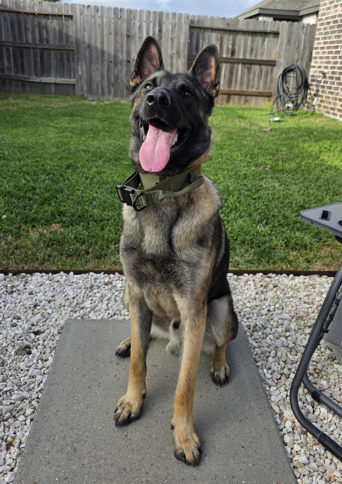 Marvel — thumbnail 3