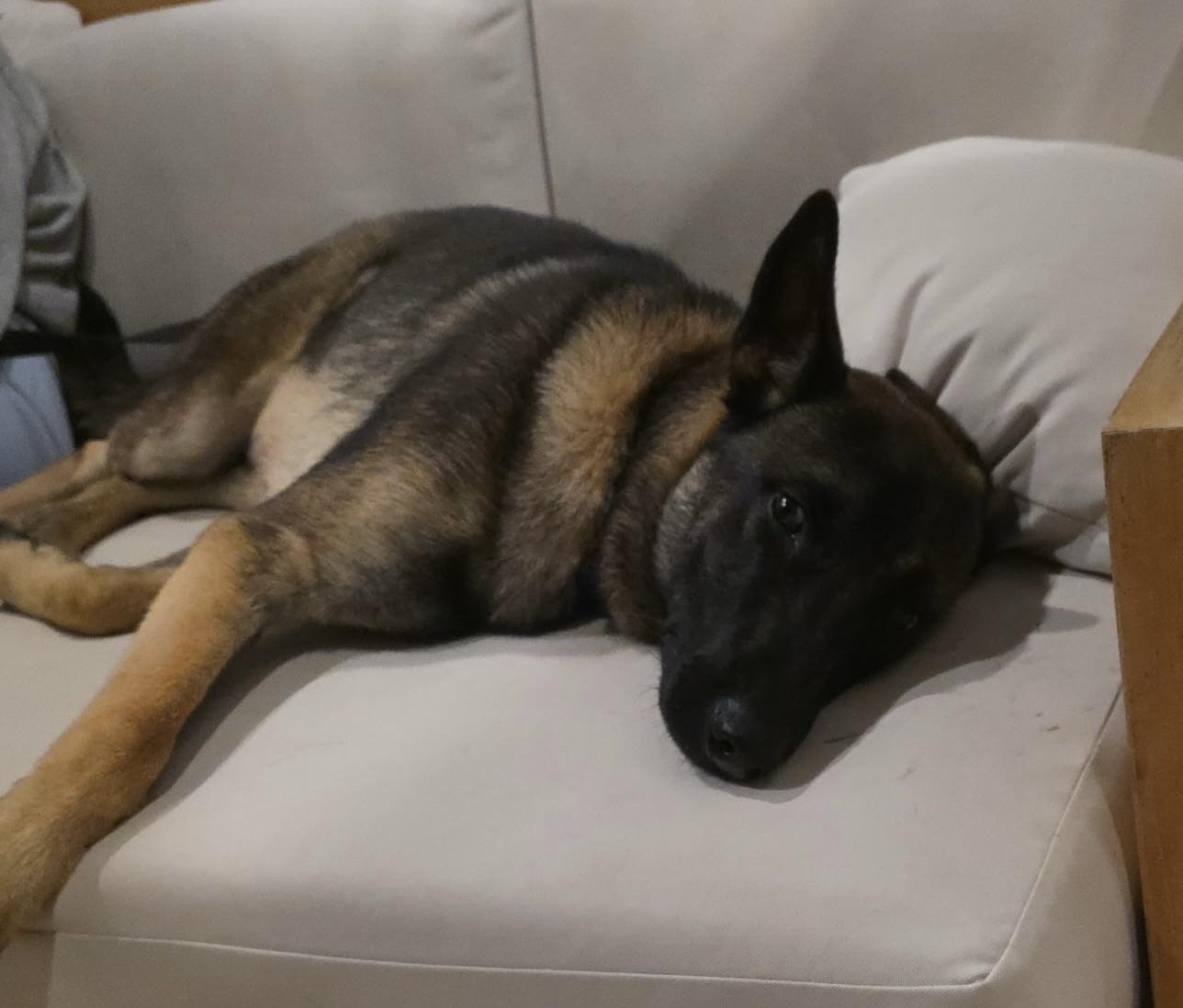 Marvel — thumbnail 4