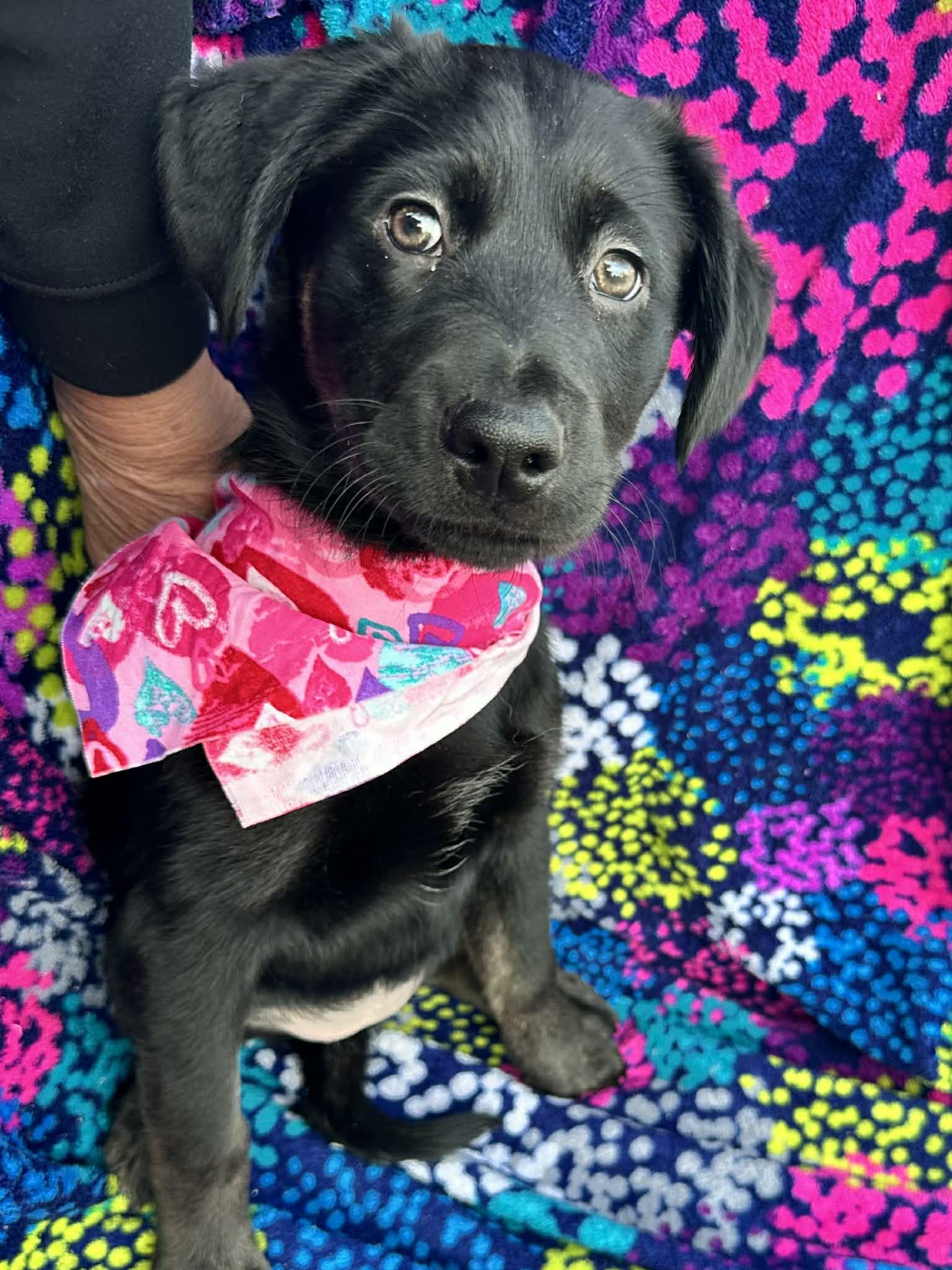 Precious thumbnail 2