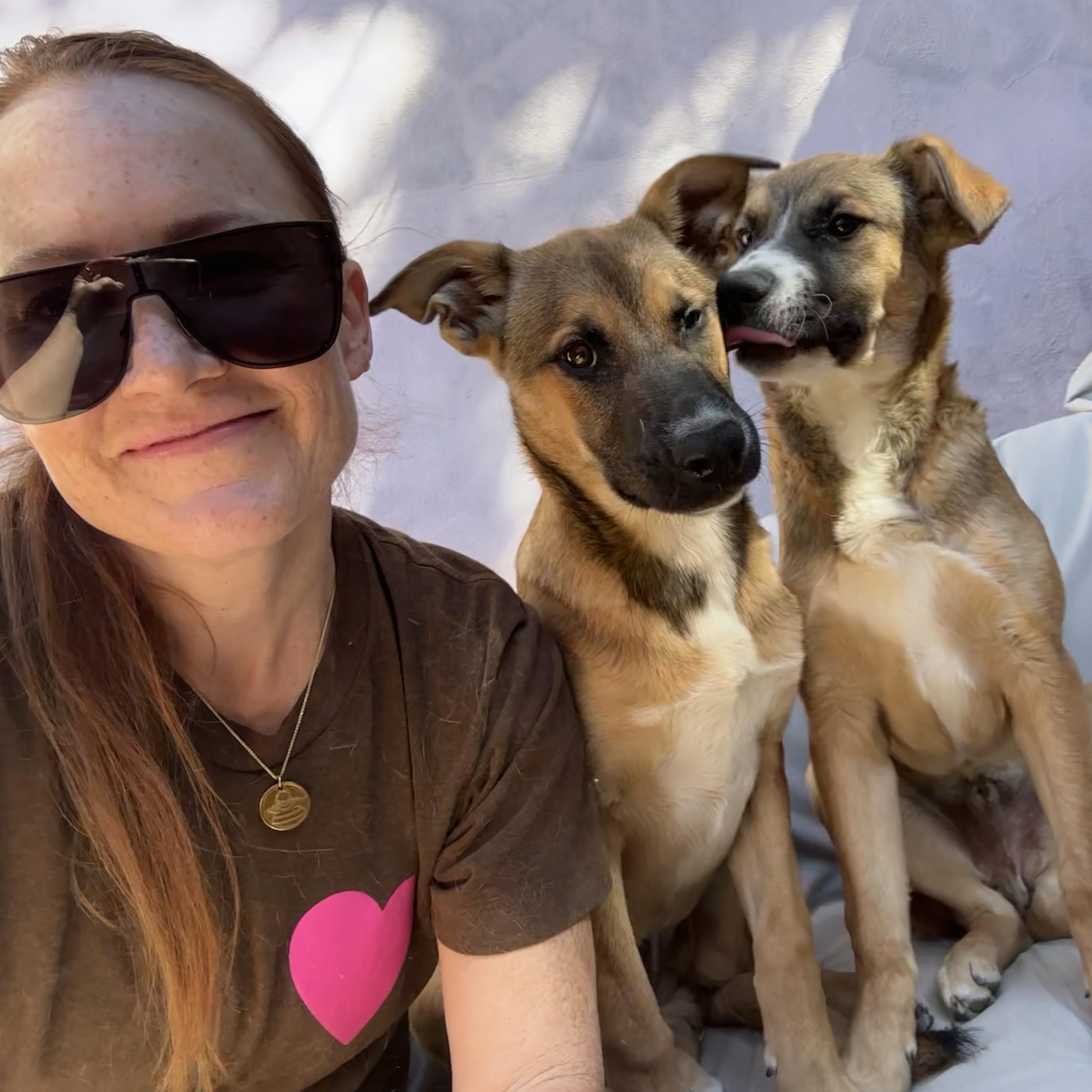 Enlarge NALA!, a Adoptable mixed breed in Portland, OR image 1/5