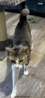 Little girl, Adult Female unknown