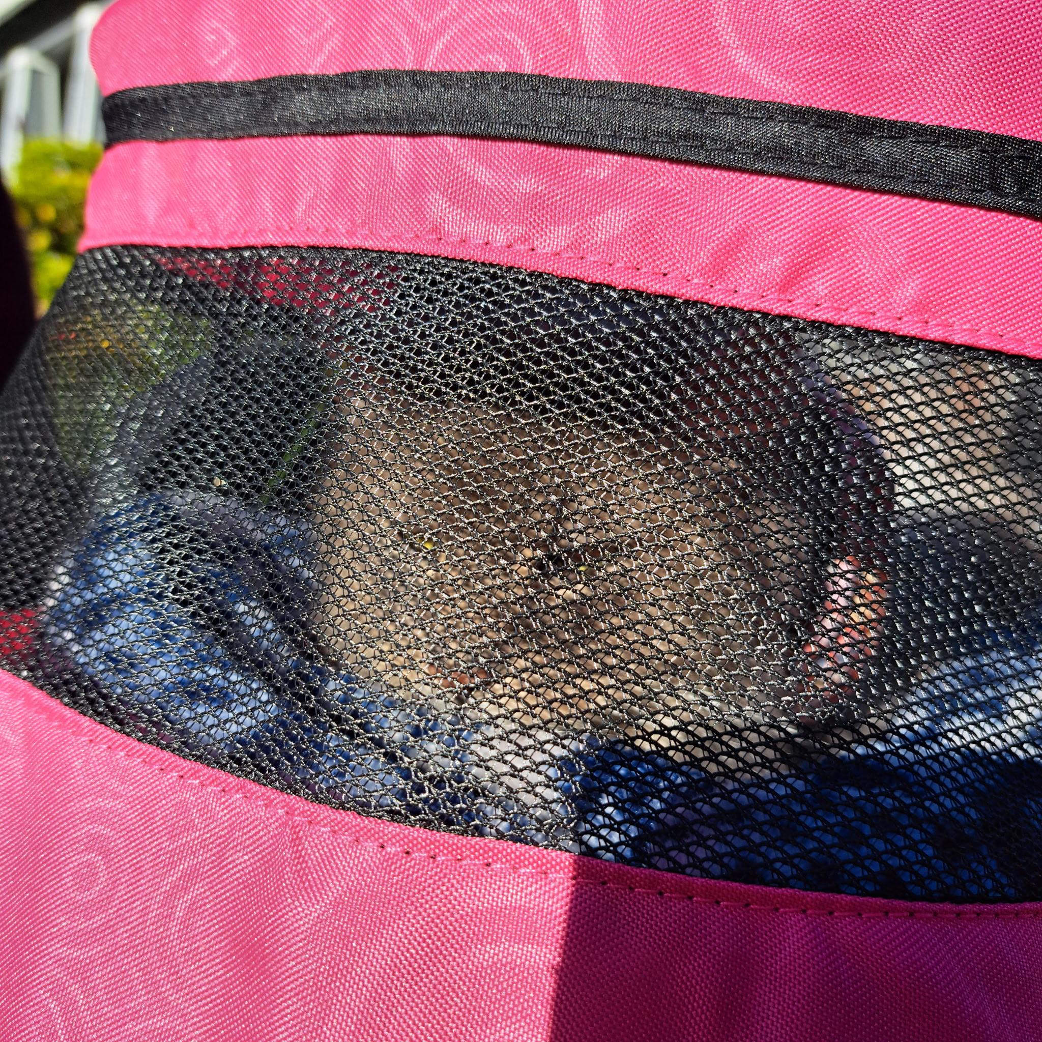 Enlarge Matty, an adopted Domestic Long Hair in Springfield, OR image 2/2