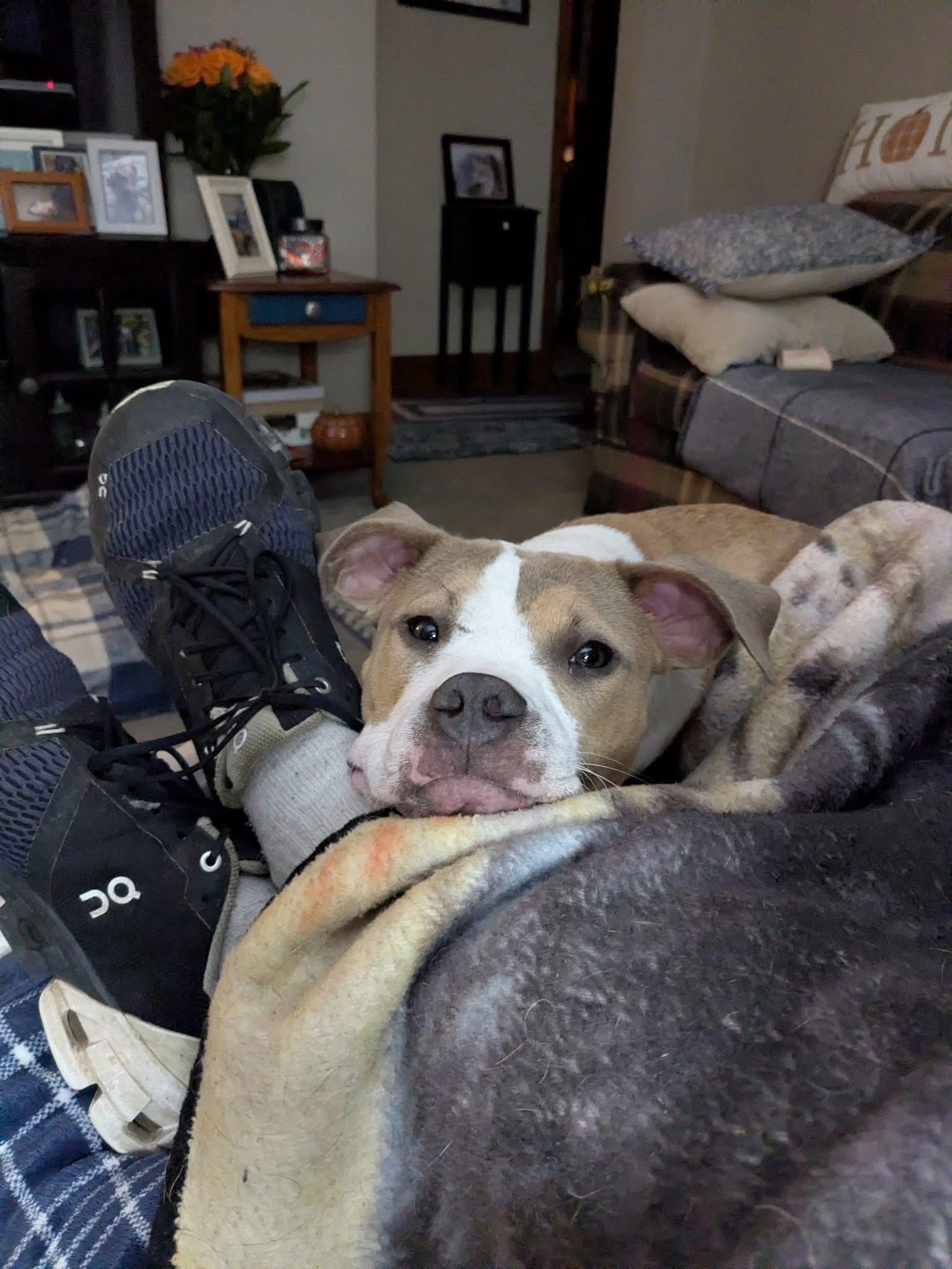 Augusta — thumbnail 6