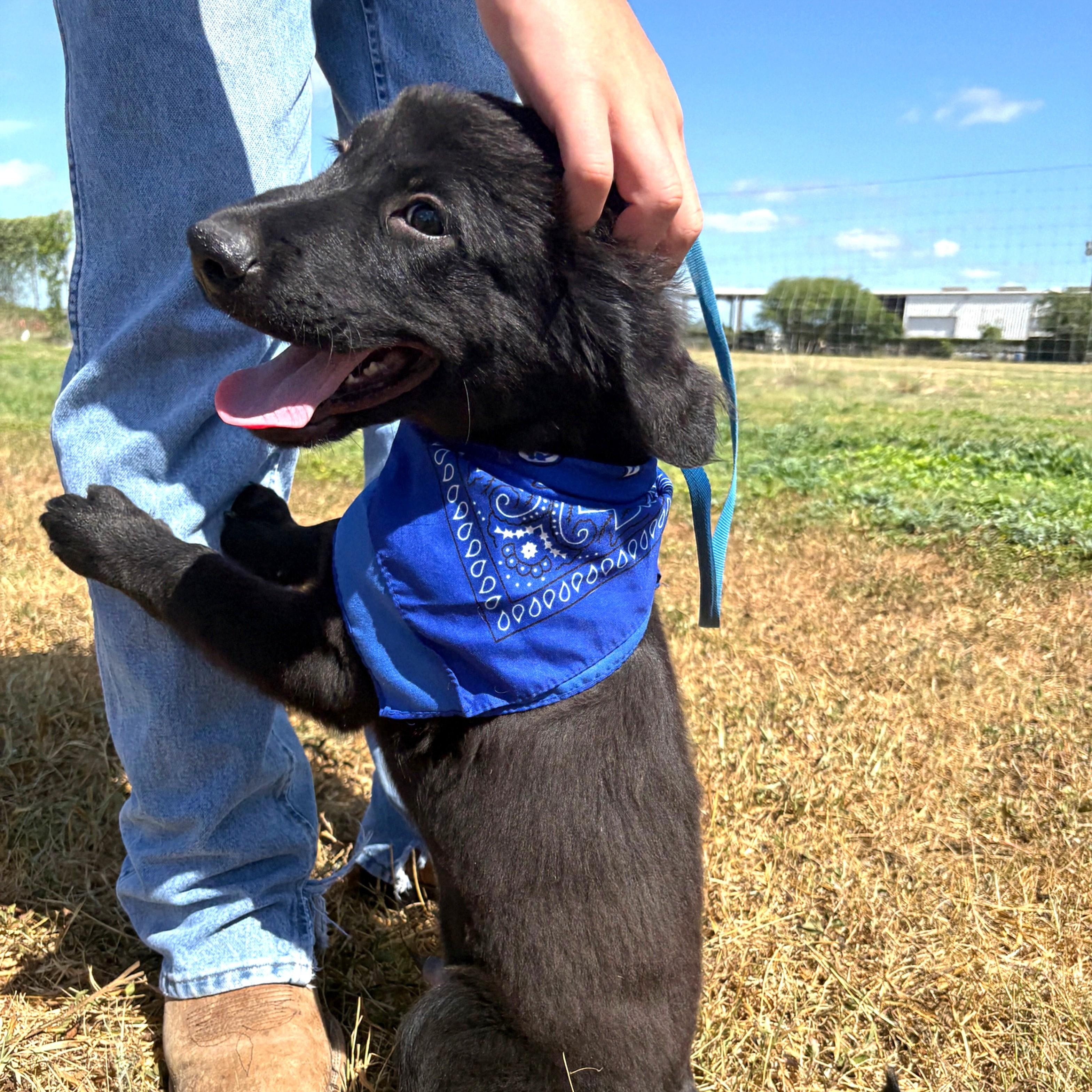 Casey - Fostered in Rhode Island photo 6