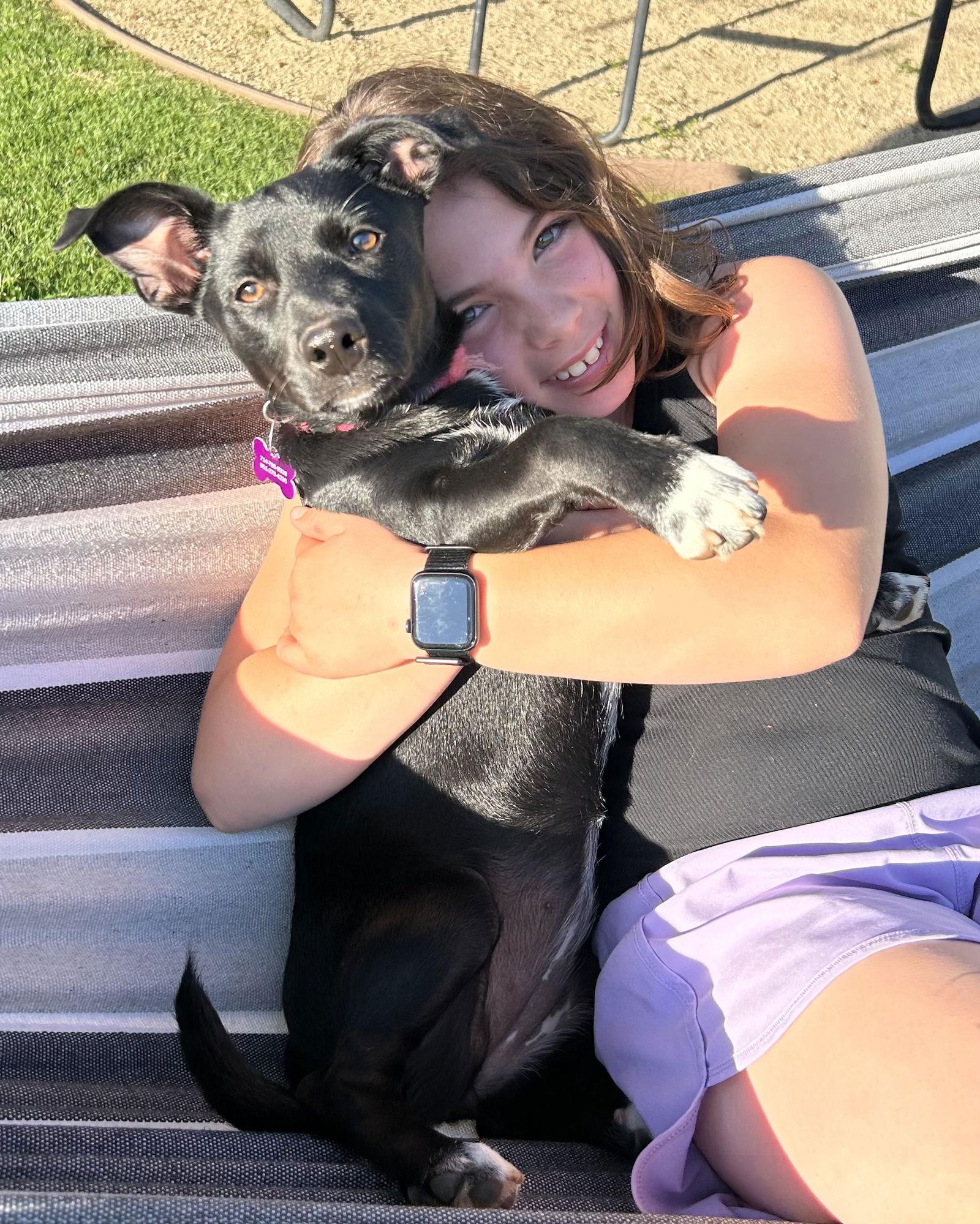 Enlarge Marie, a Adoptable mixed breed in Corona, CA image 2/3