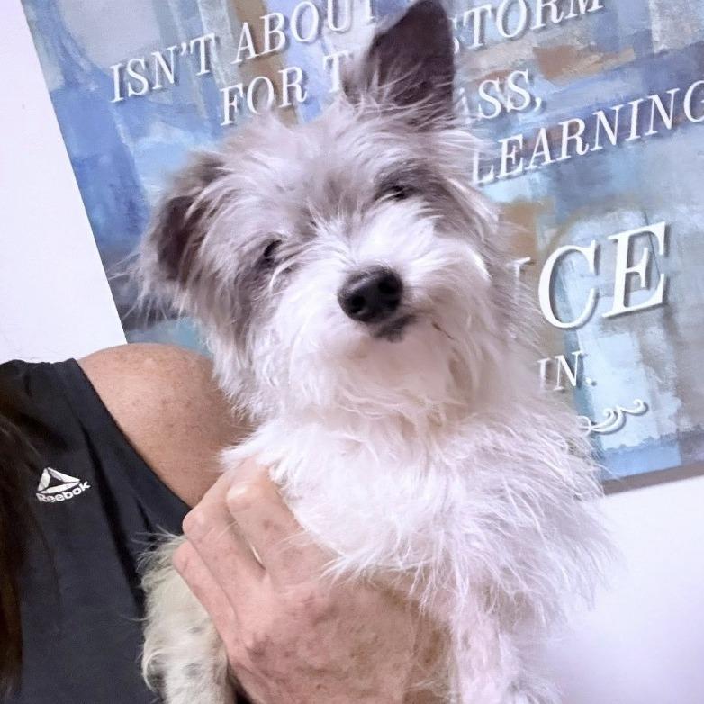 Princess Rapunzel — thumbnail 6