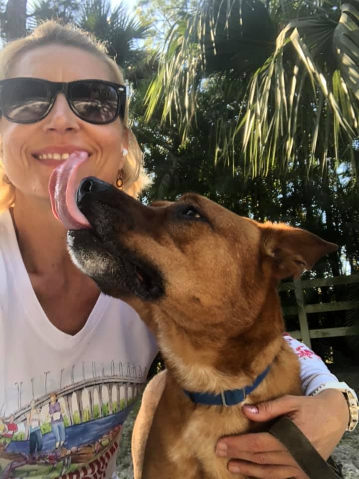 Enlarge SANDY, a Adoptable Black Mouth Cur in Palm City, FL image 2/10