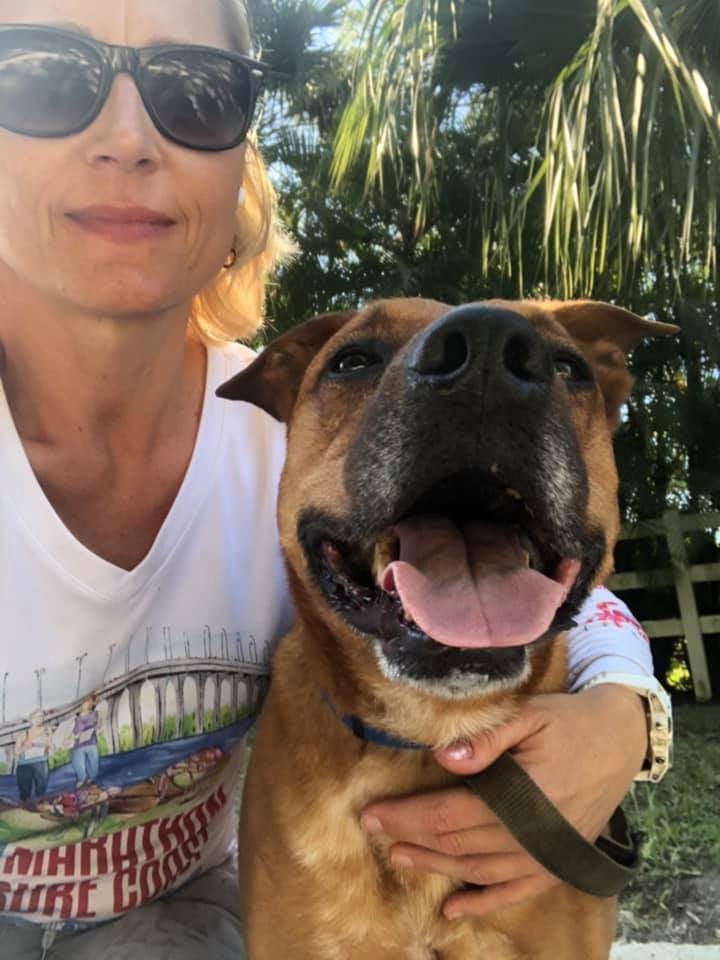 Enlarge SANDY, a Adoptable Black Mouth Cur in Palm City, FL image 5/10