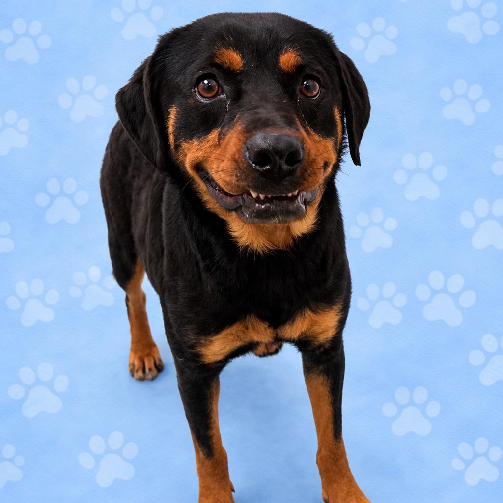 Waverly — thumbnail 2