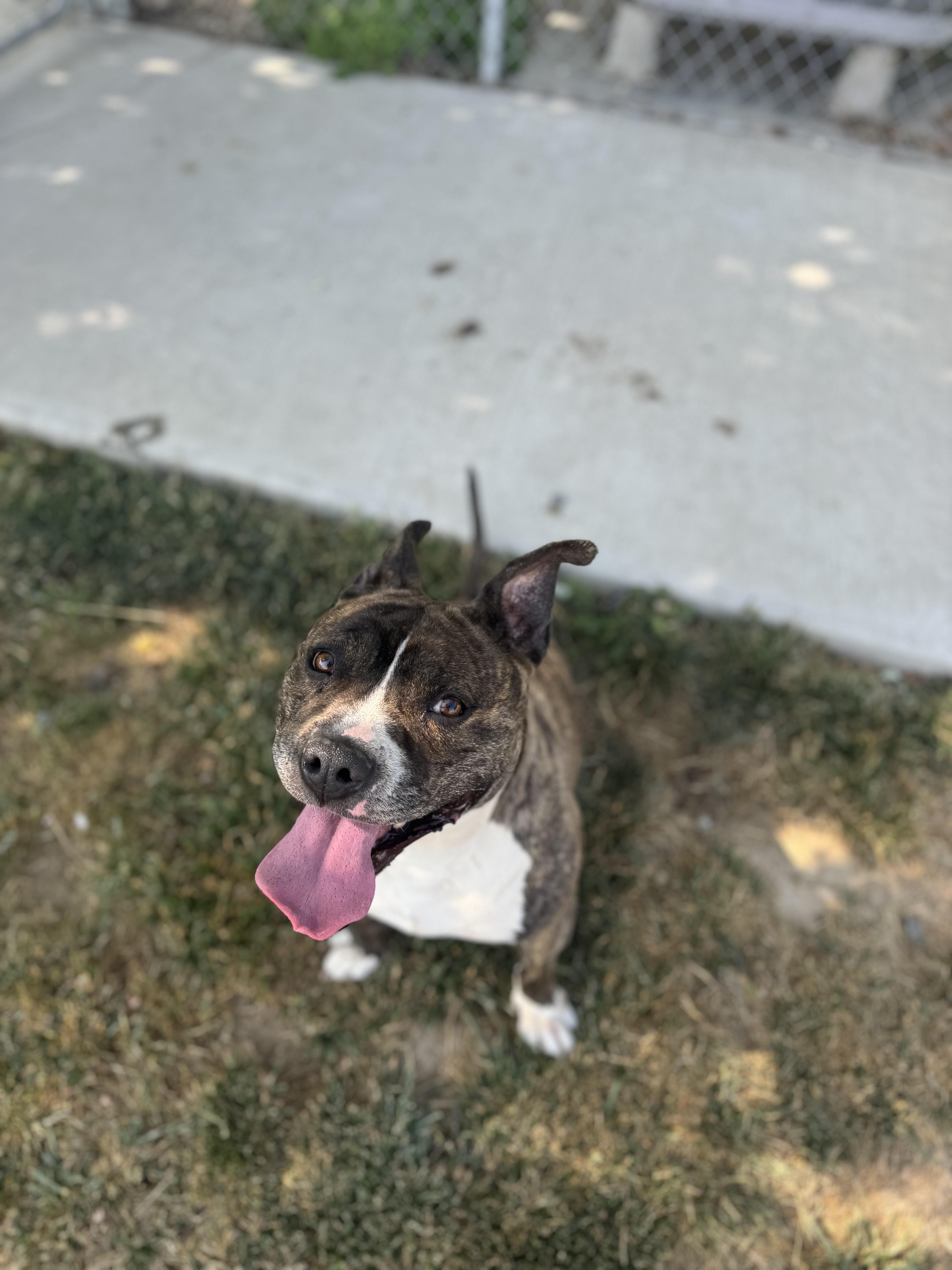 Rosie