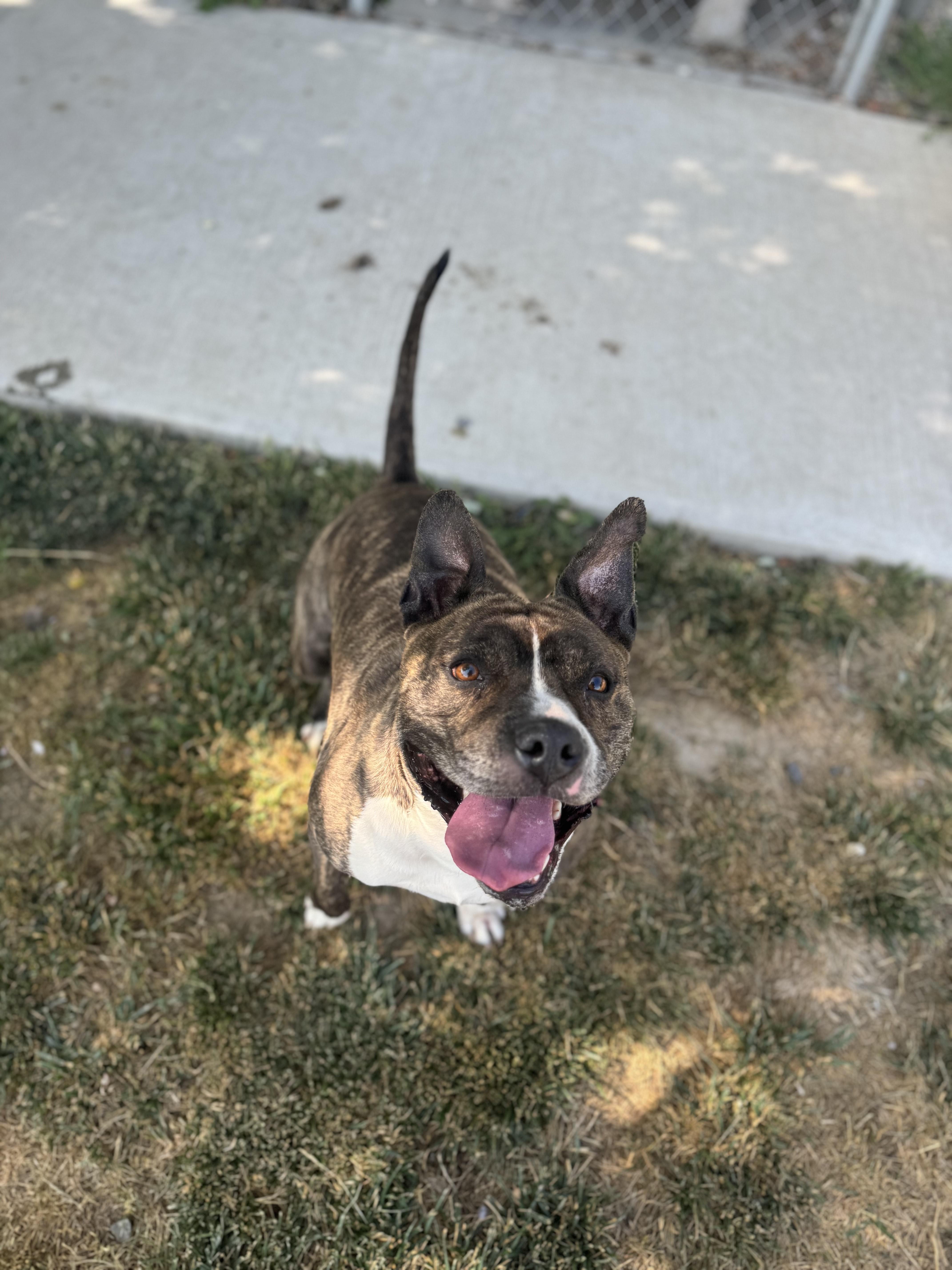Rosie