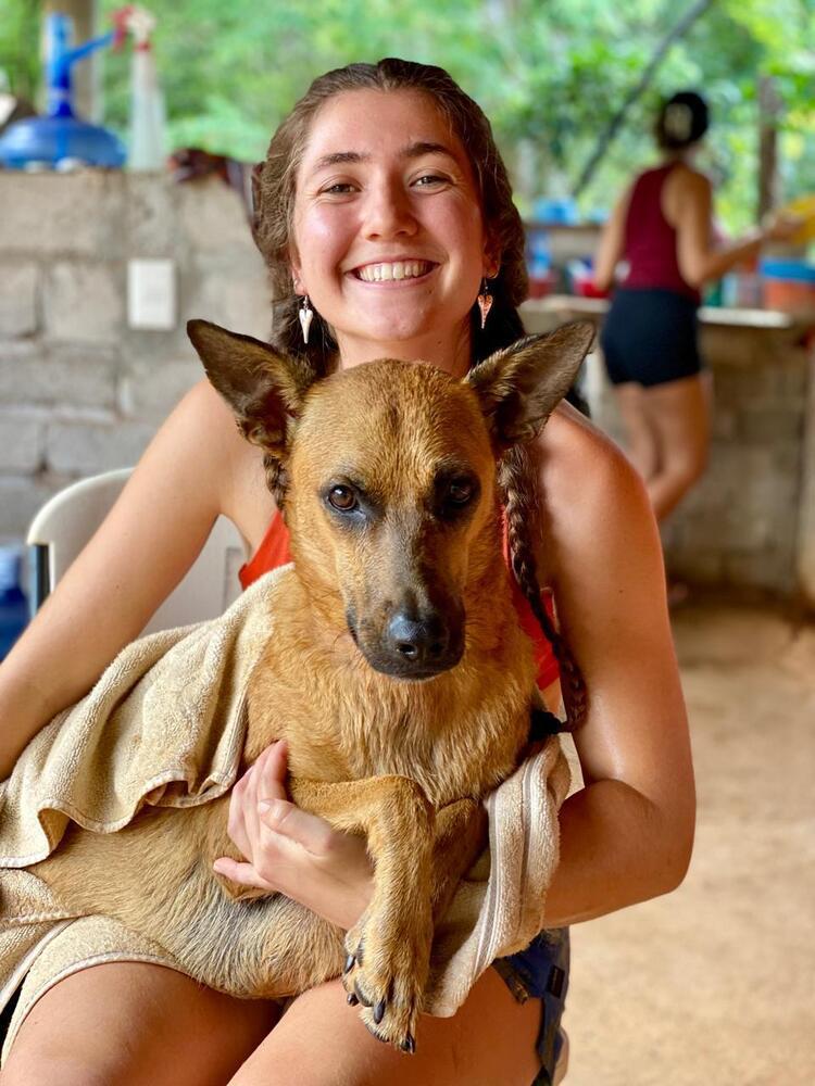 Enlarge Ken aka Jack, a Adoptable mixed breed in San Diego, CA image 4/6