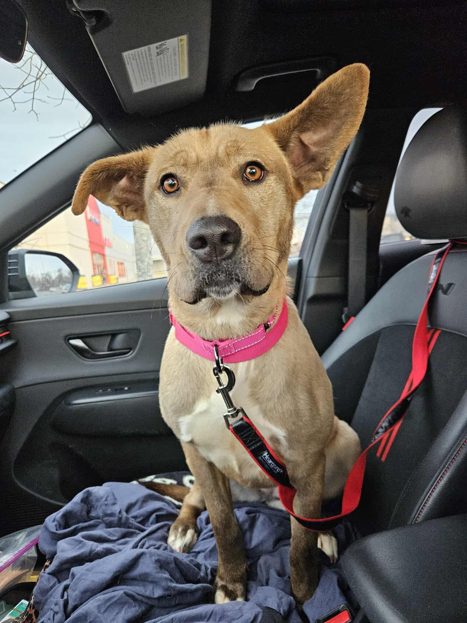 Emma Kate thumbnail 2