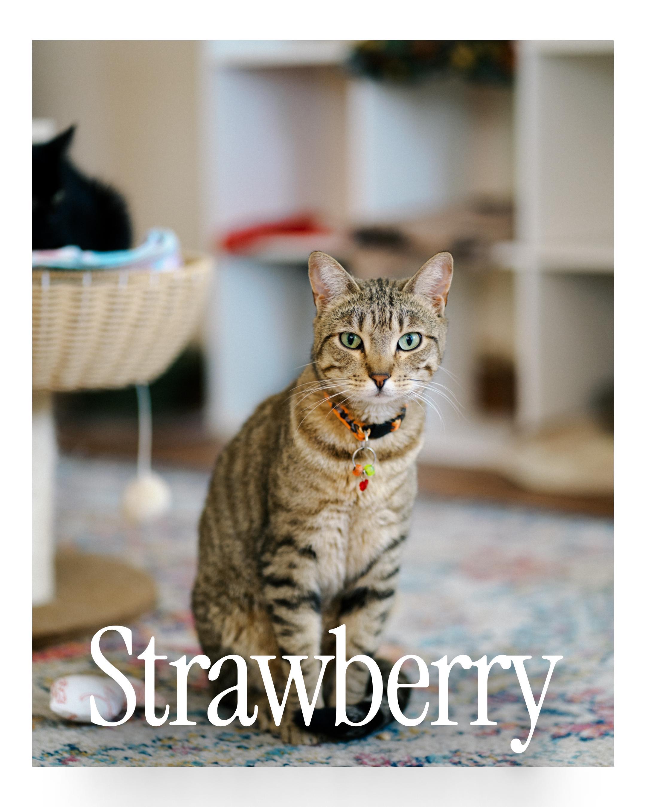 Strawberry