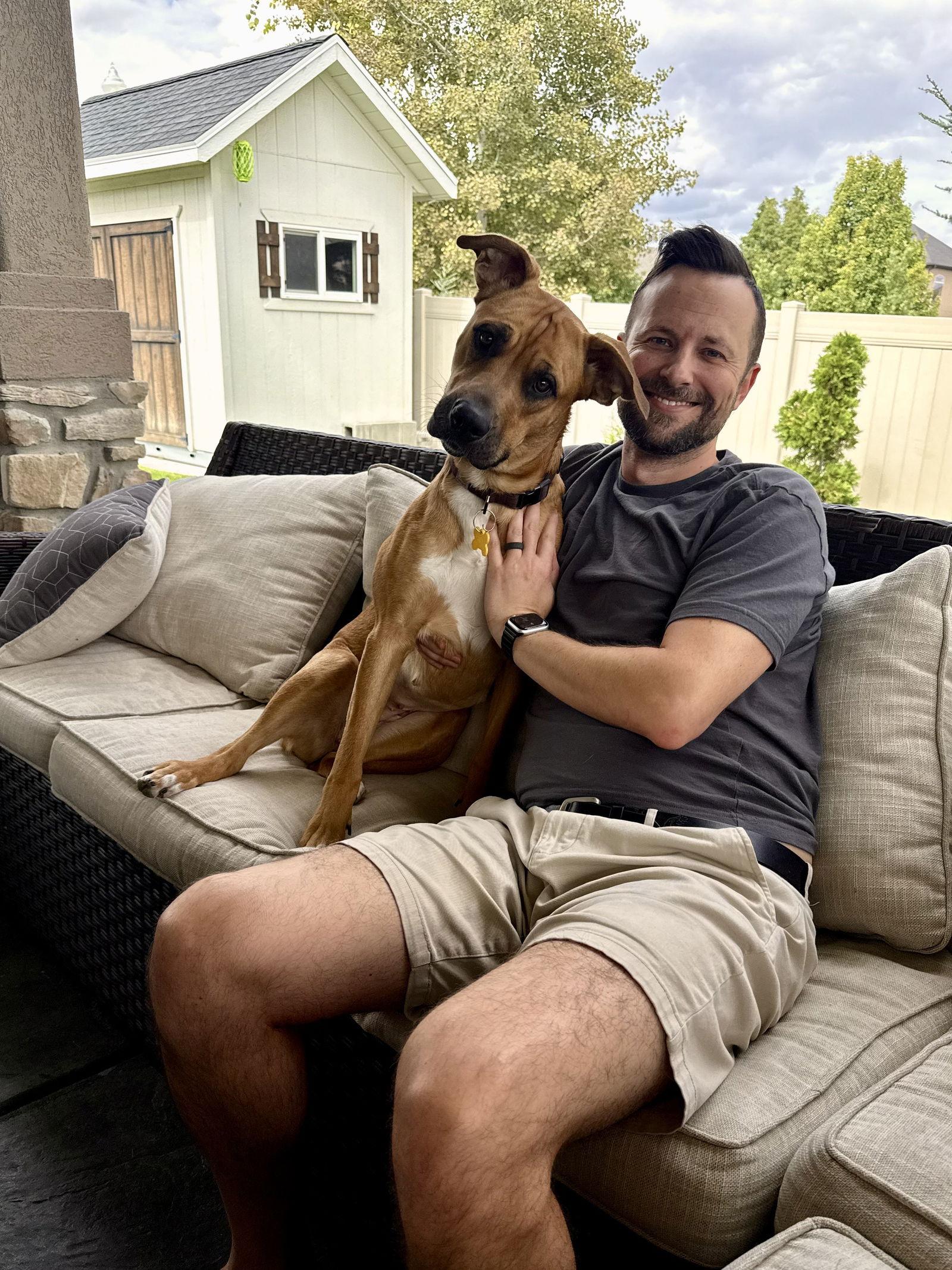 Nova Scotia, a Adoptable Boxer image 2/3