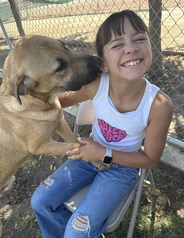 Clyde, a Adoptable mixed breed image 2/6