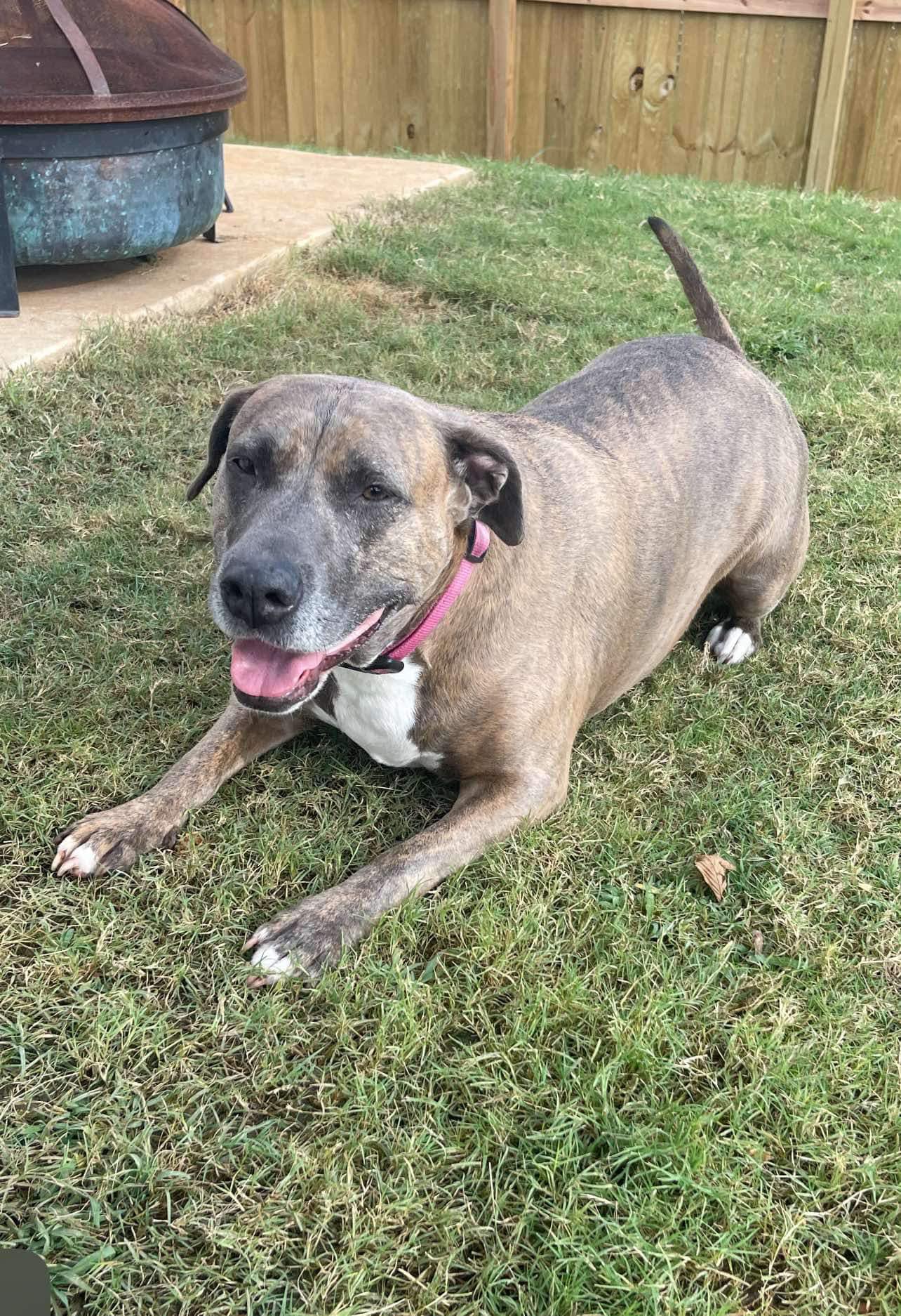 Sandy (20240813-01) — thumbnail 4