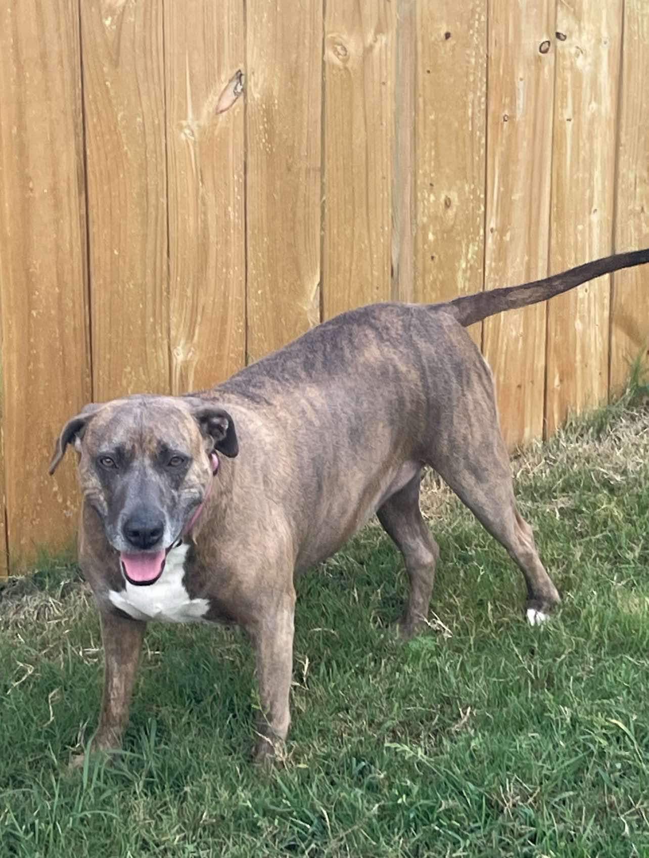 Sandy (20240813-01) — thumbnail 5