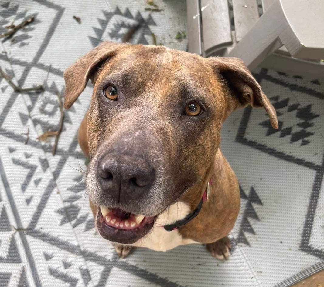 Sandy (20240813-01) — thumbnail 6