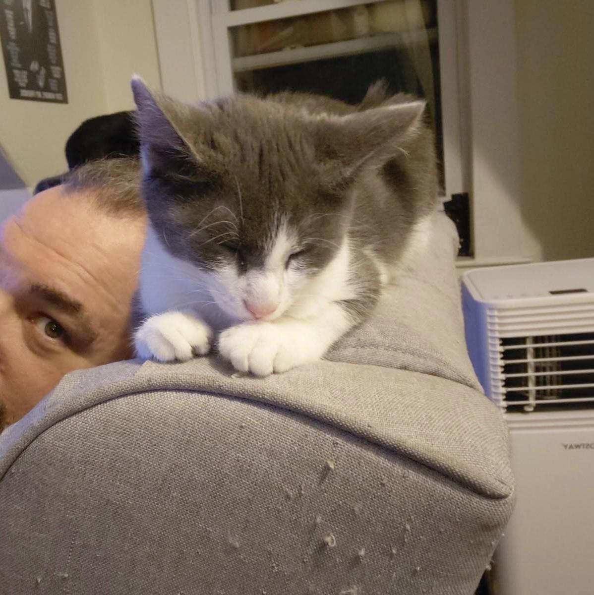 Goober (Jess-fostered in New England)