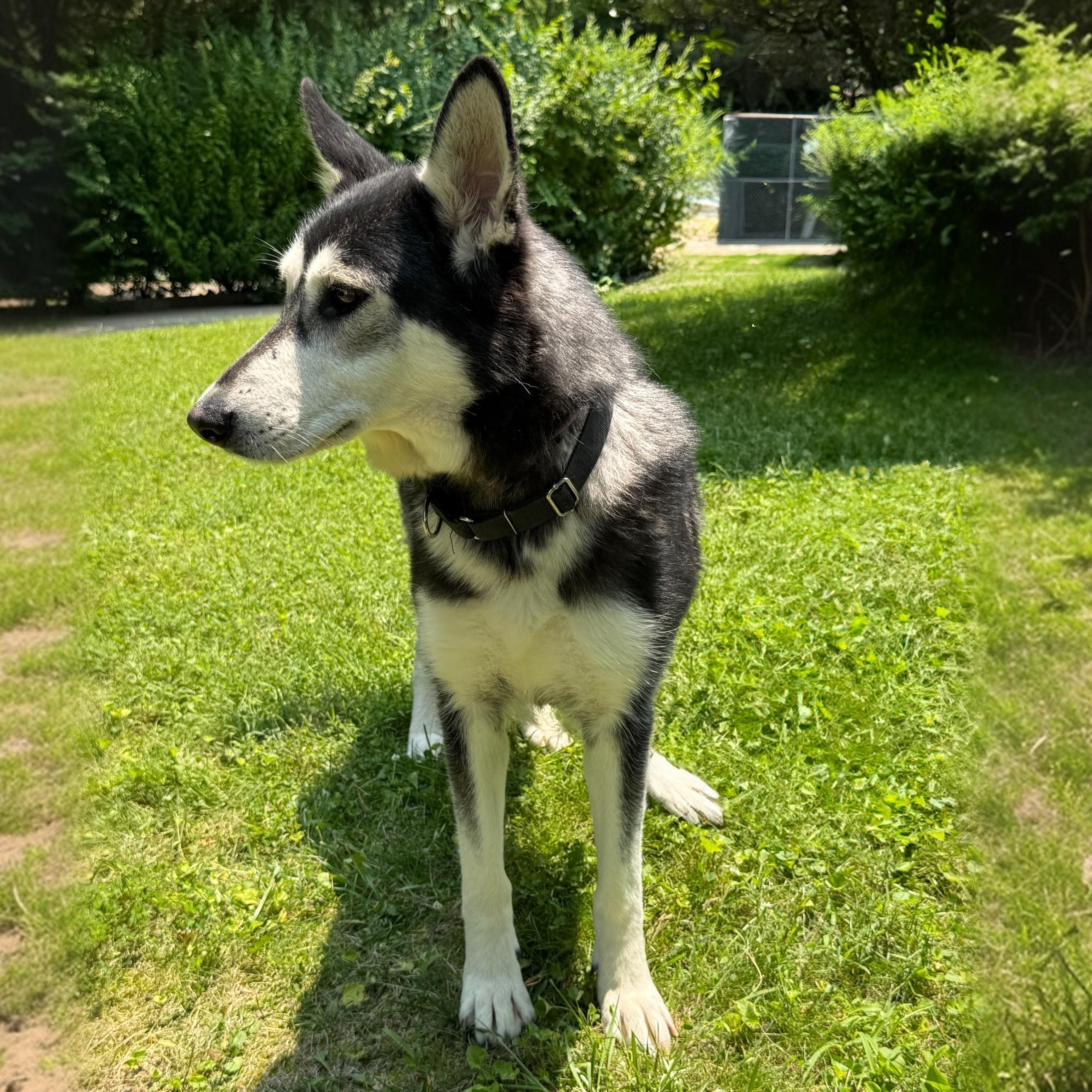 Sally photo 4