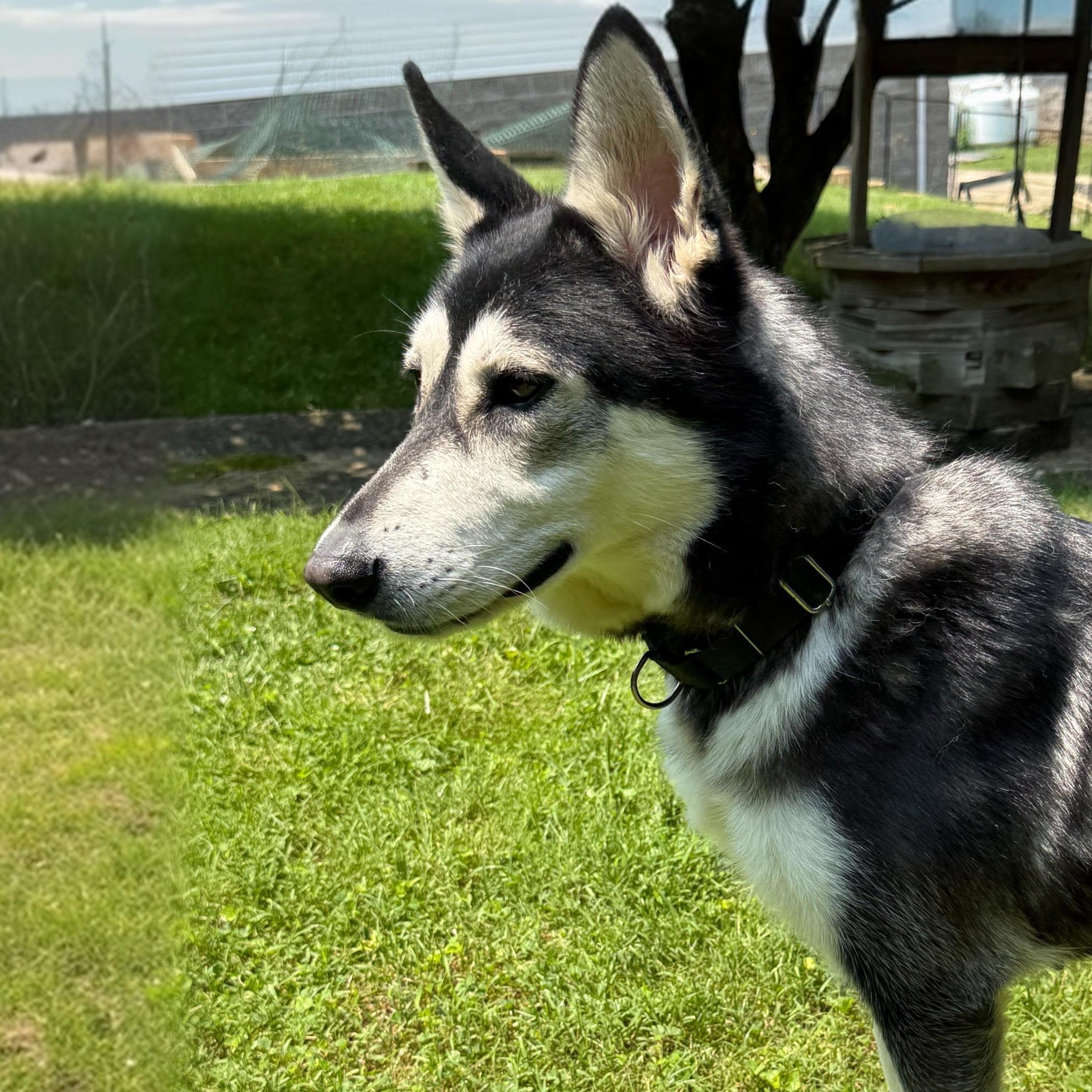 Sally photo 2