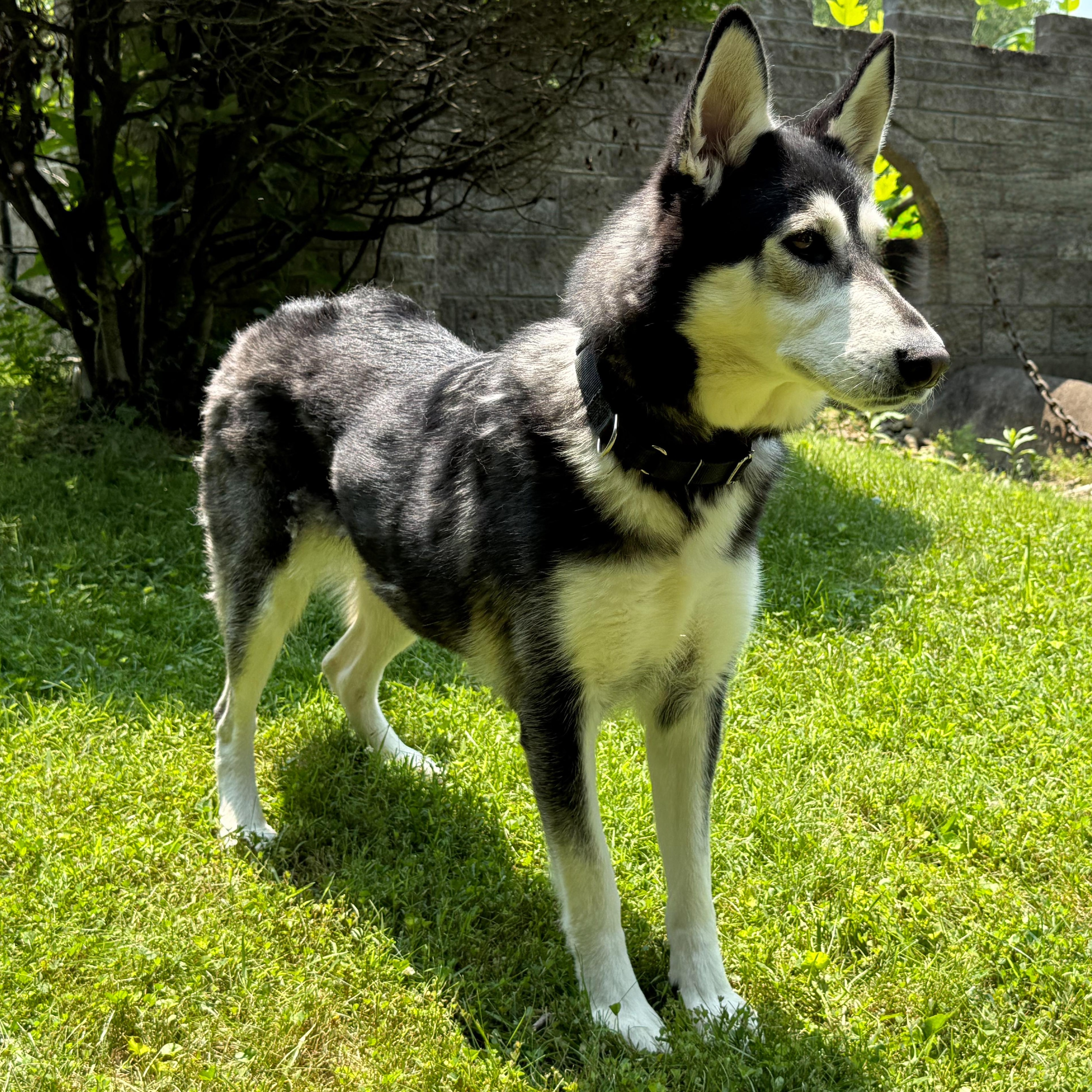 Sally photo 3