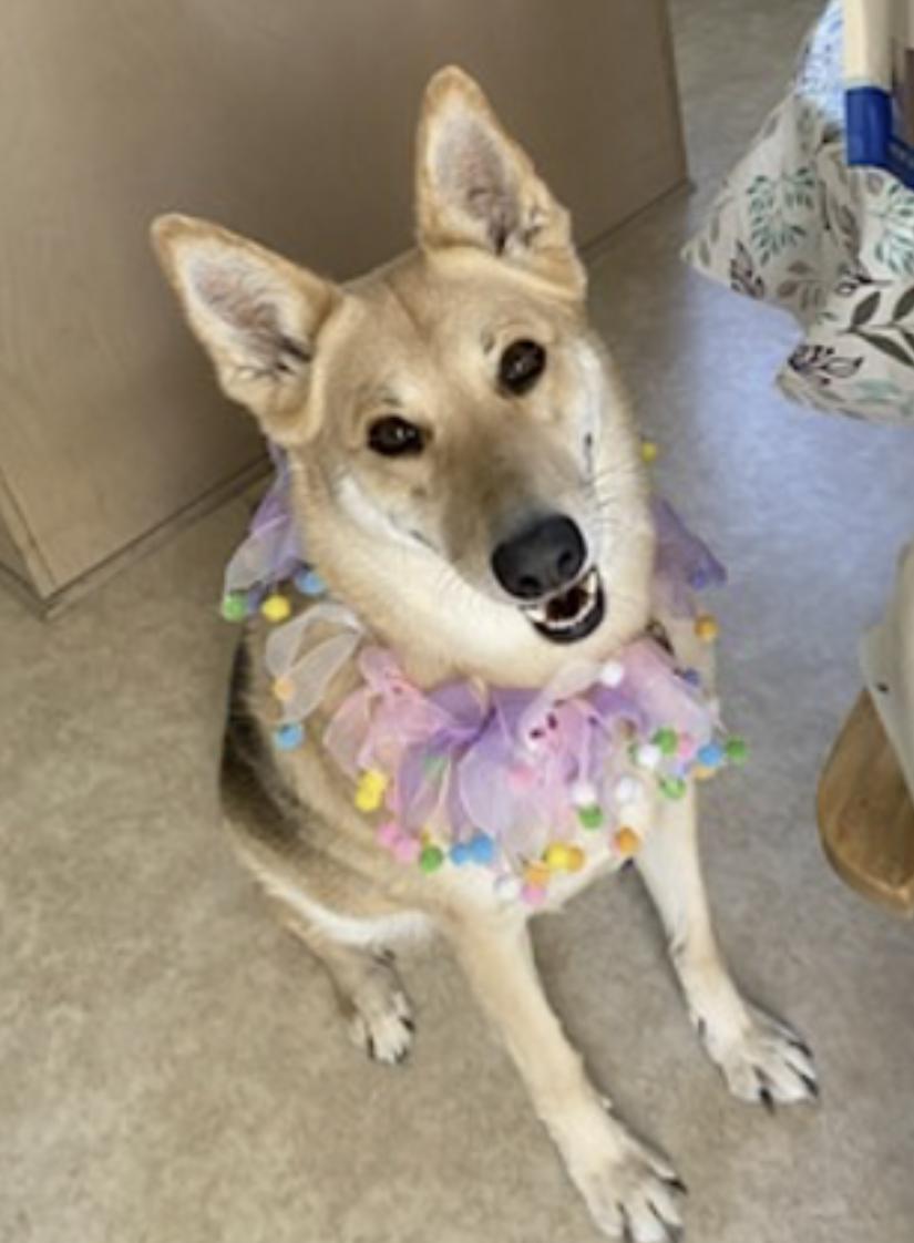 Angel — thumbnail 2