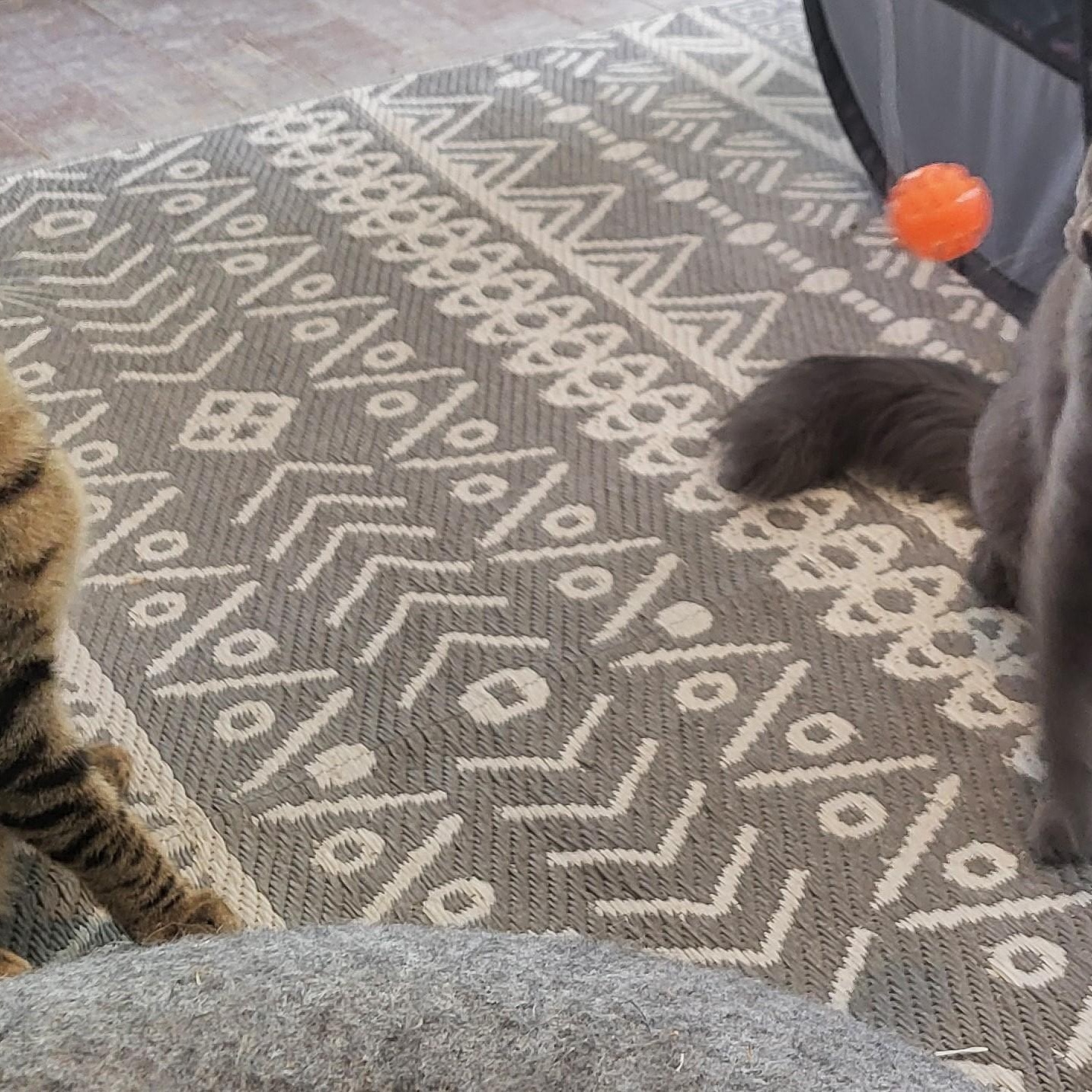 Mirage & Smokey Jo thumbnail 4