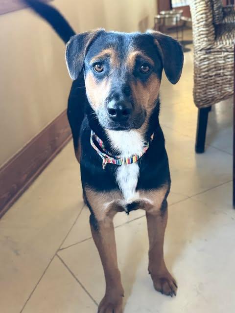 Rico Suave thumbnail 3