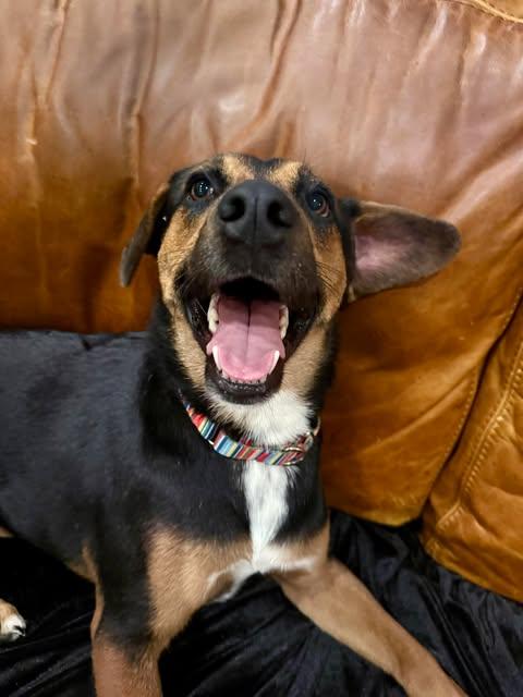 Rico Suave thumbnail 4