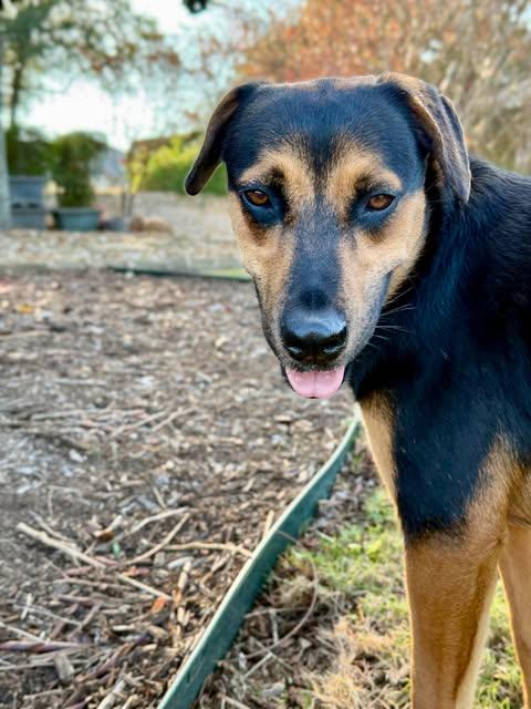 Rico Suave thumbnail 5