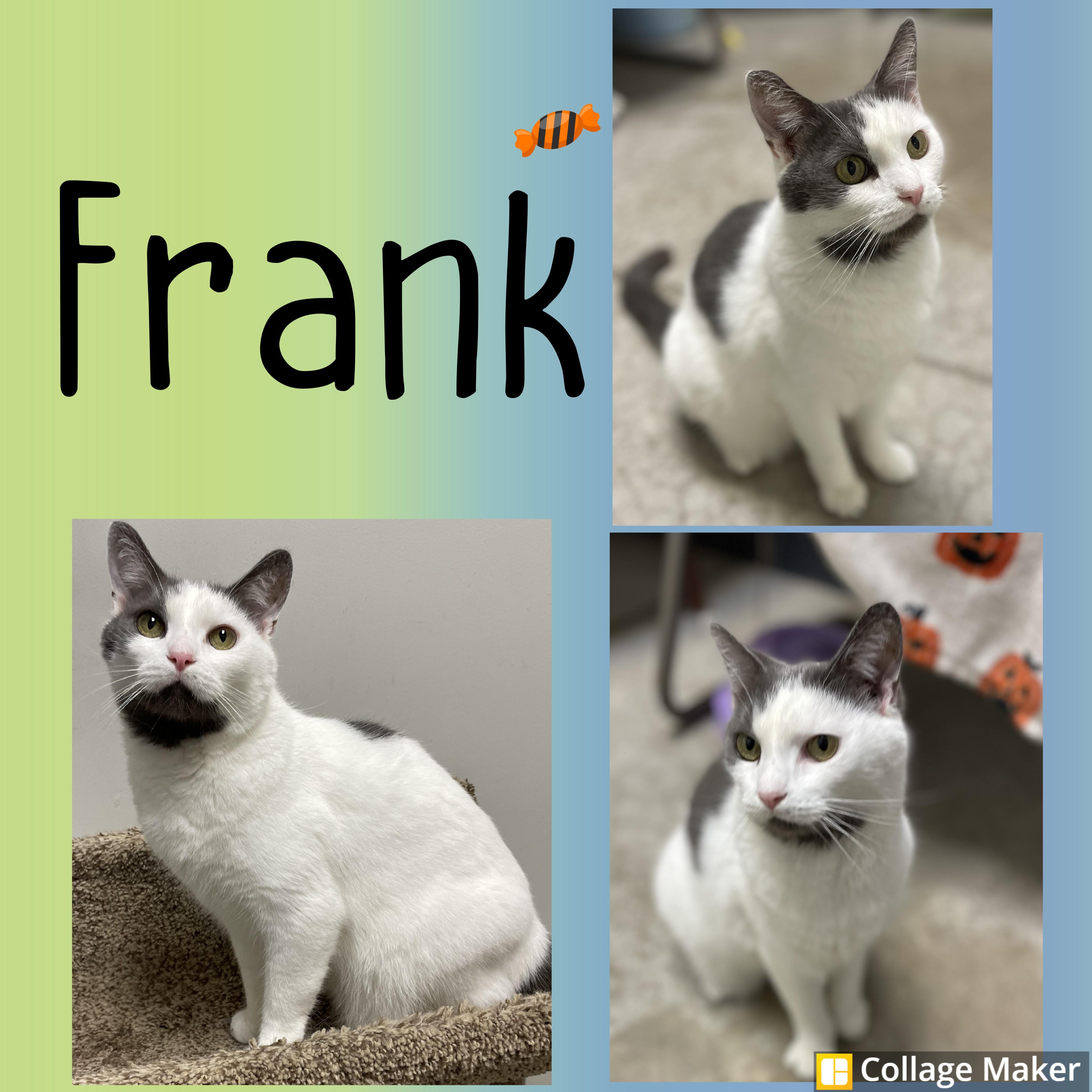 Frank