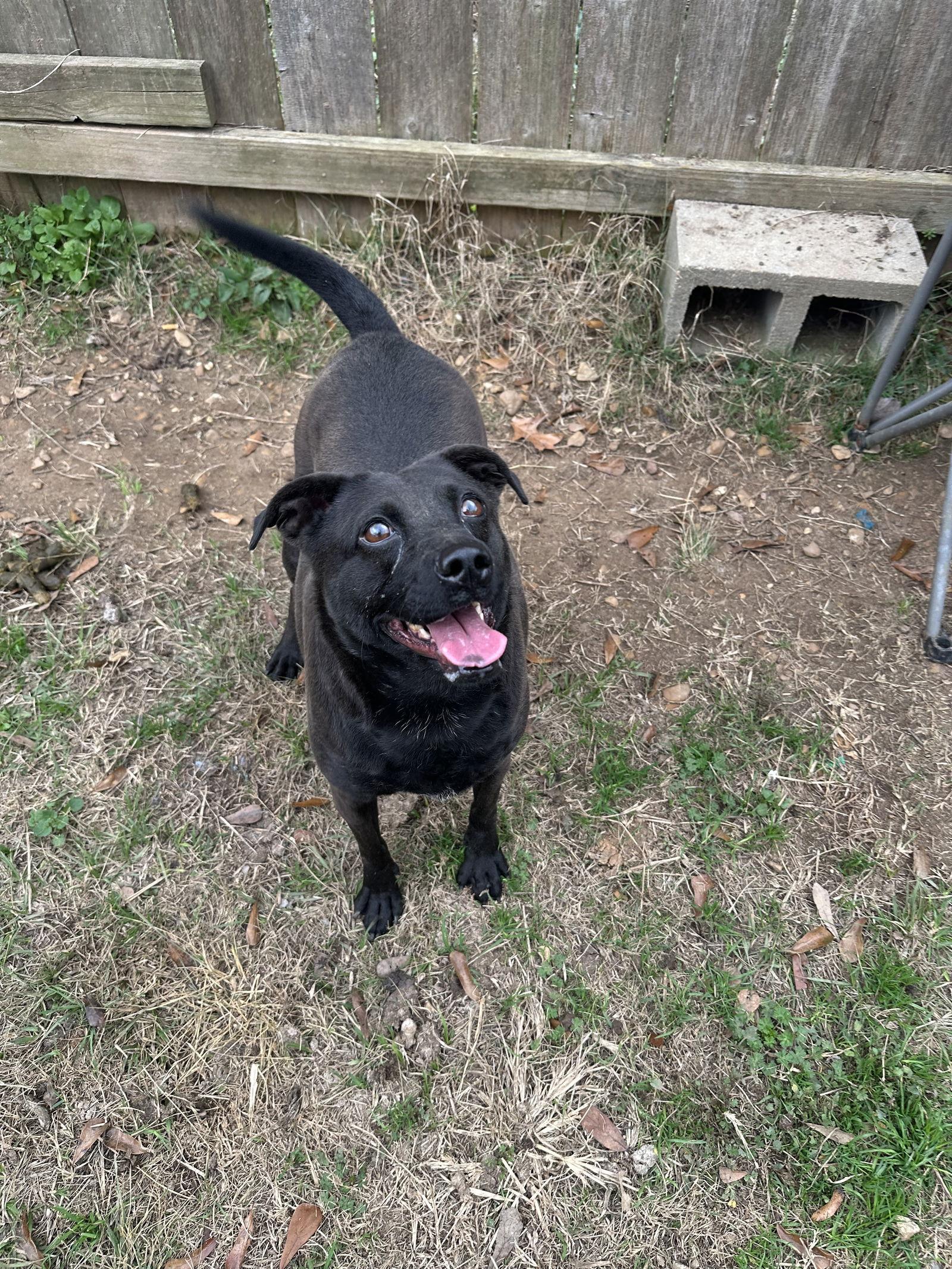 Cassidy — thumbnail 2