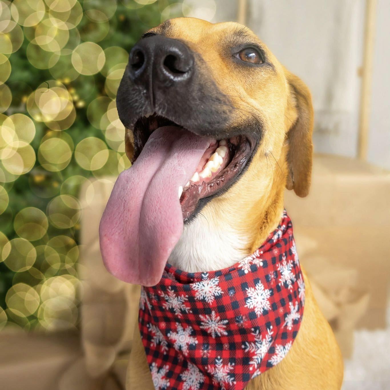 Machi (20240710-02) — thumbnail 2