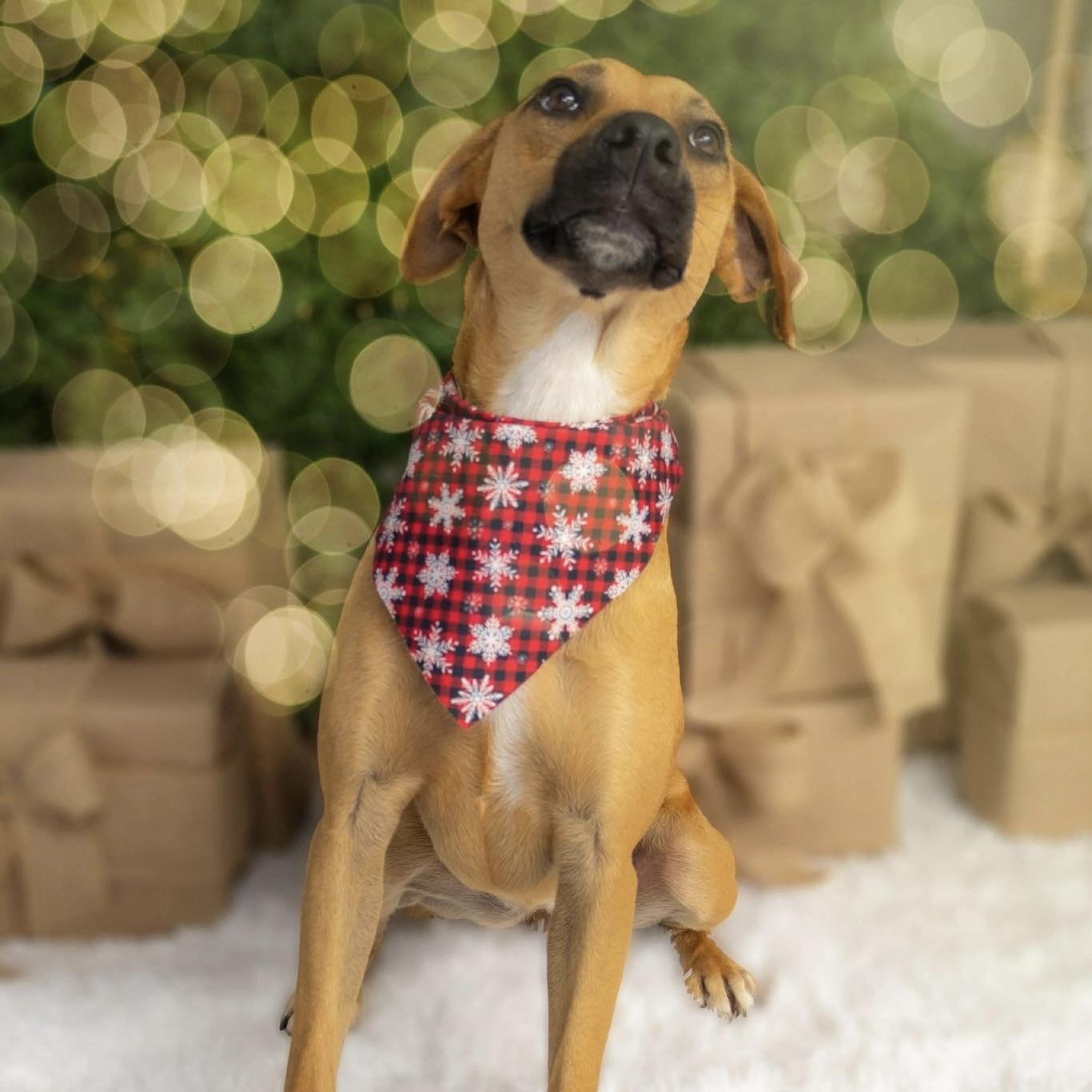 Machi (20240710-02) — thumbnail 3