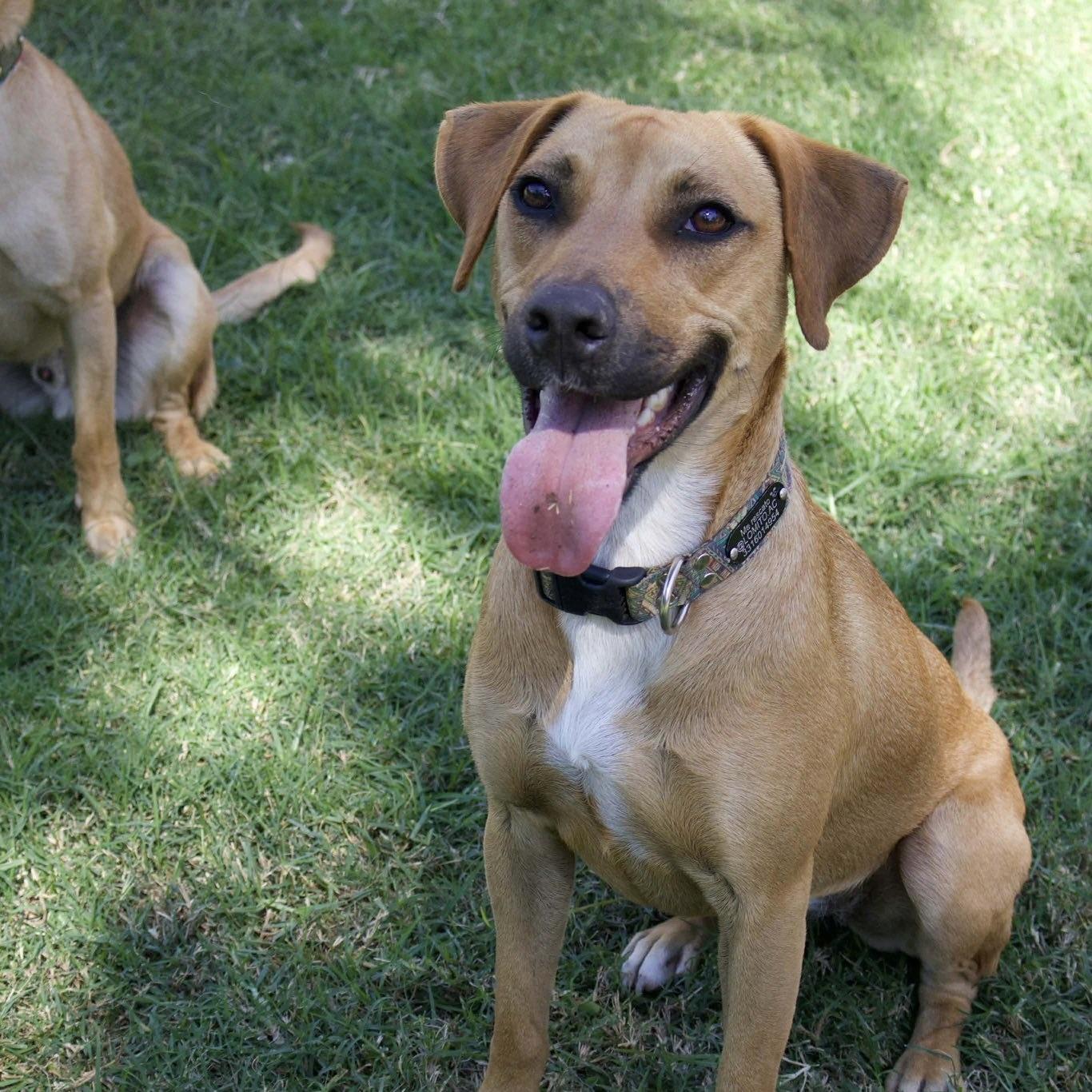 Machi (20240710-02) — thumbnail 4